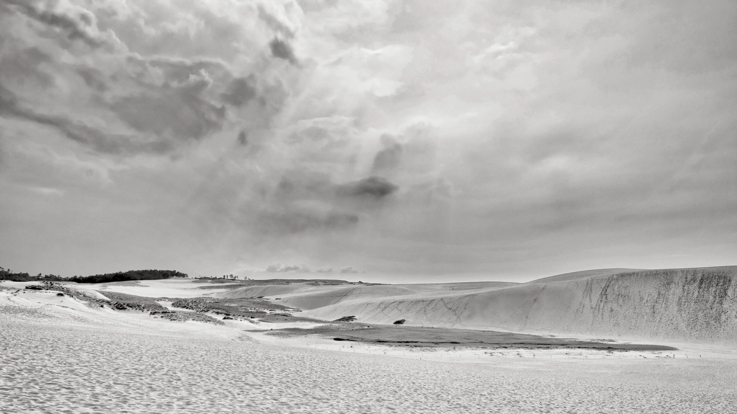 20190730 - 29_Nik_DxO.jpg