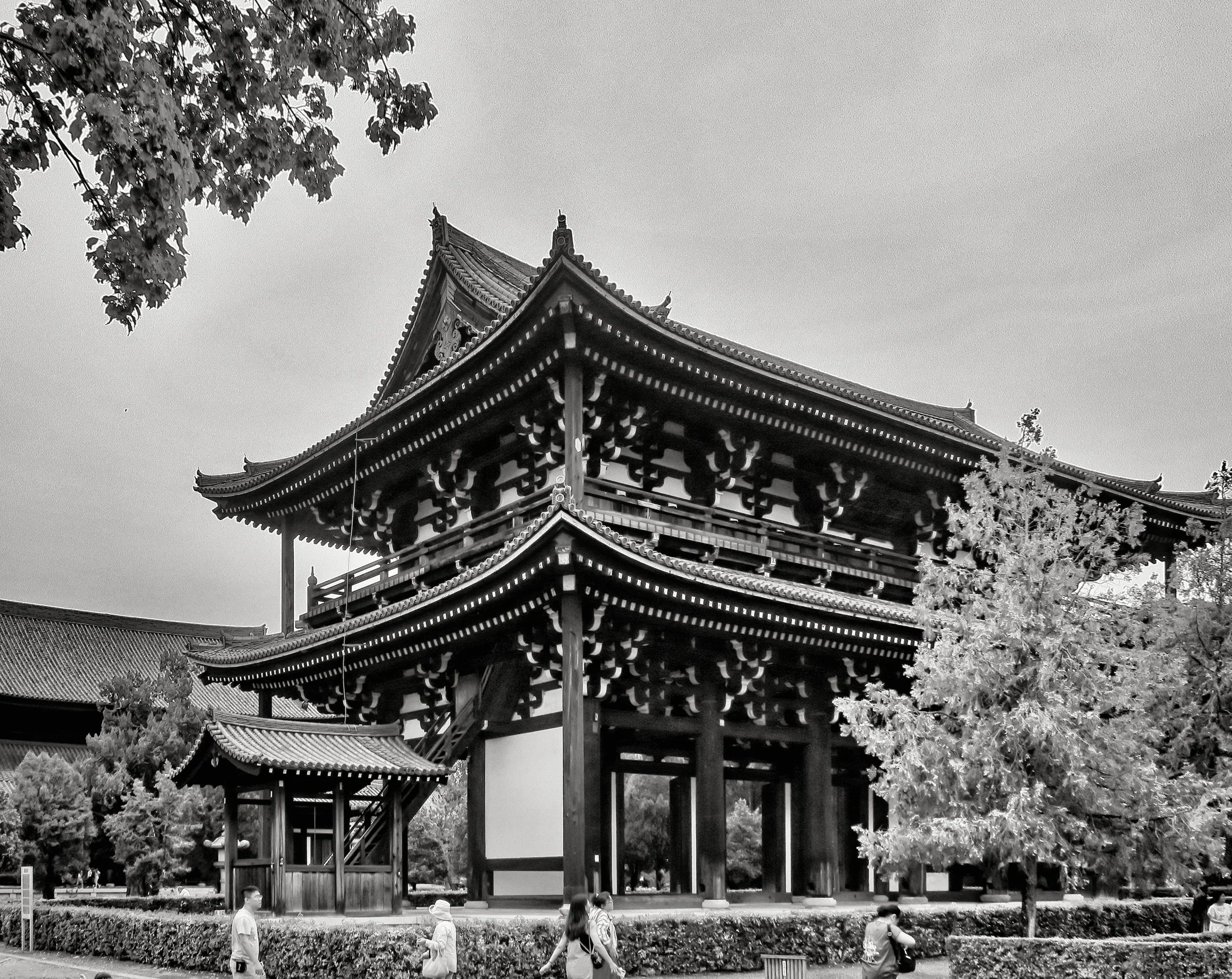 20190720 - 52_Nik_DxO.jpg