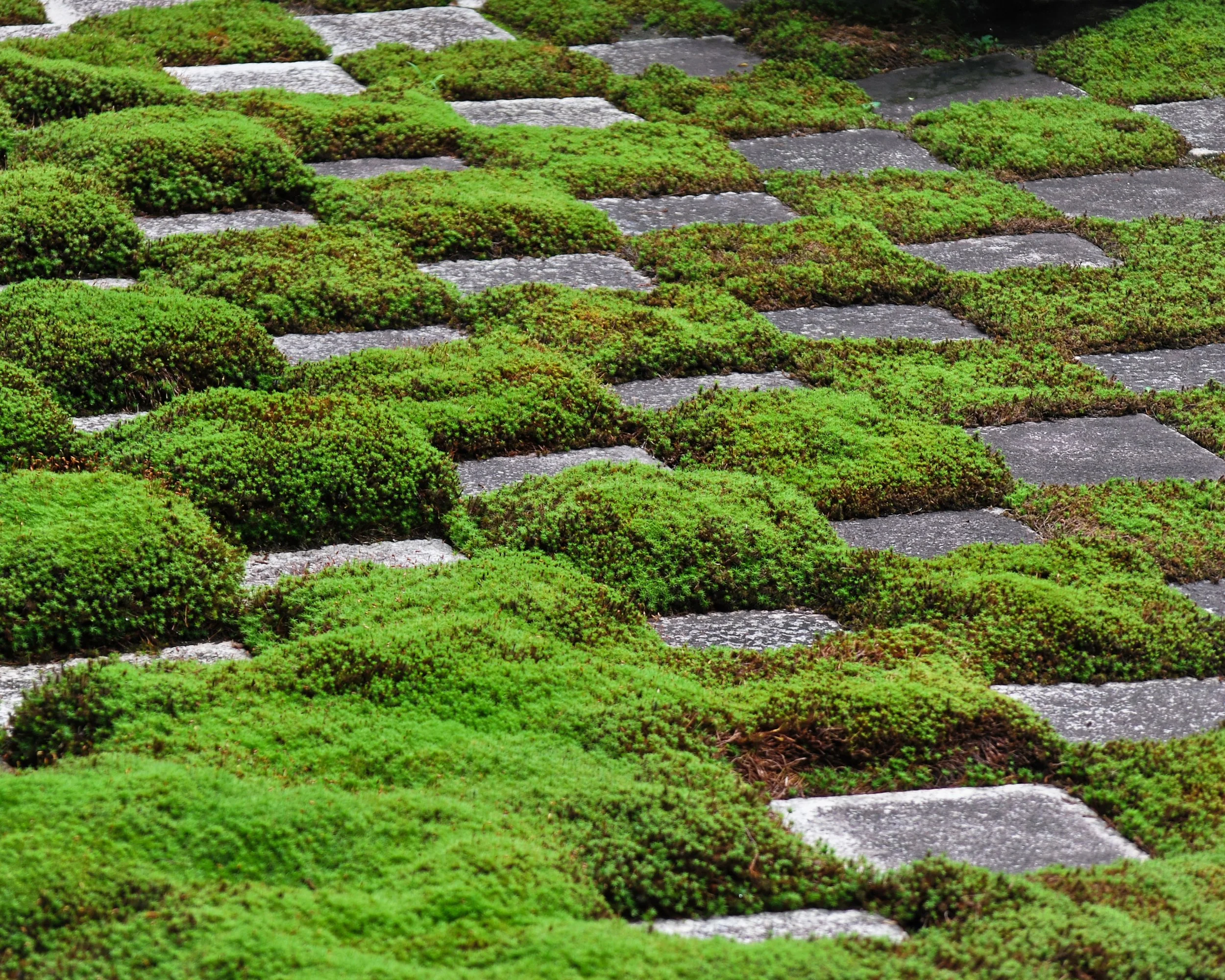 20190720 - 129_DxO.jpg