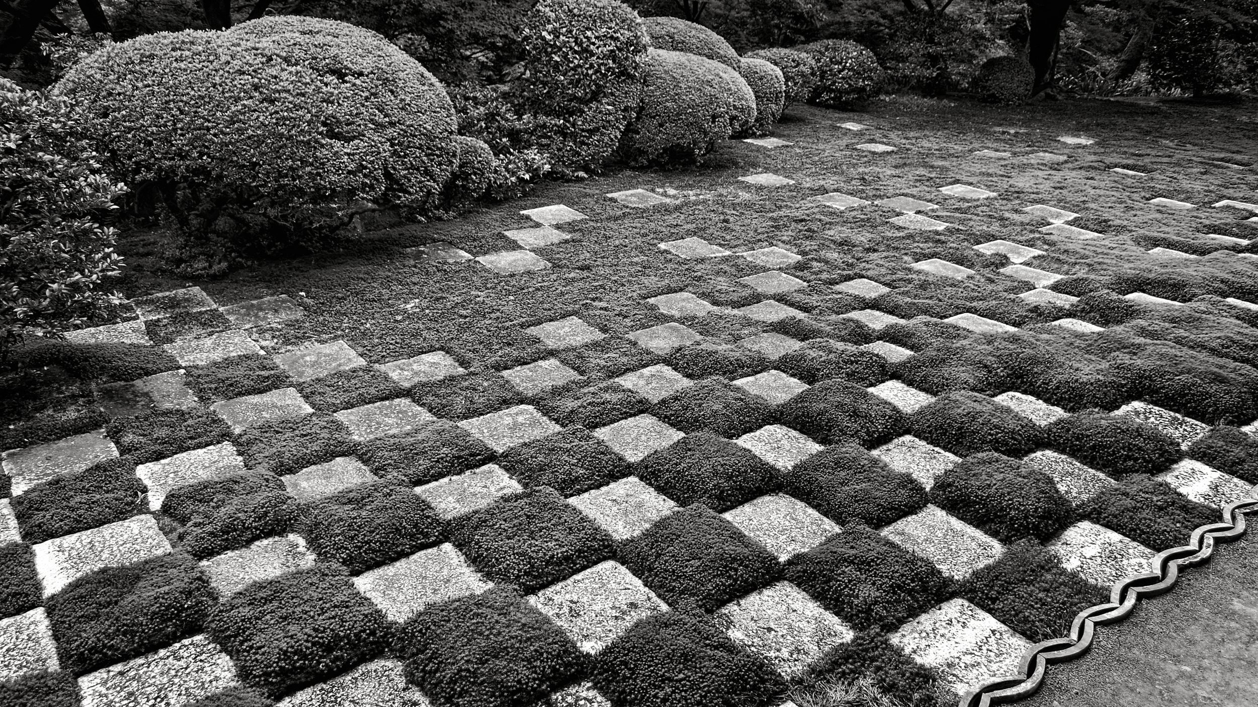 20190720 - 112_Nik_DxO.jpg