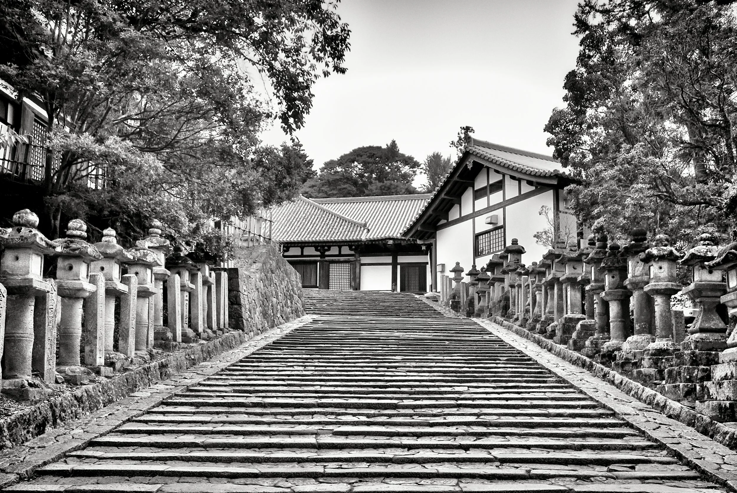 20190716 - 128_Nik_DxO.jpg