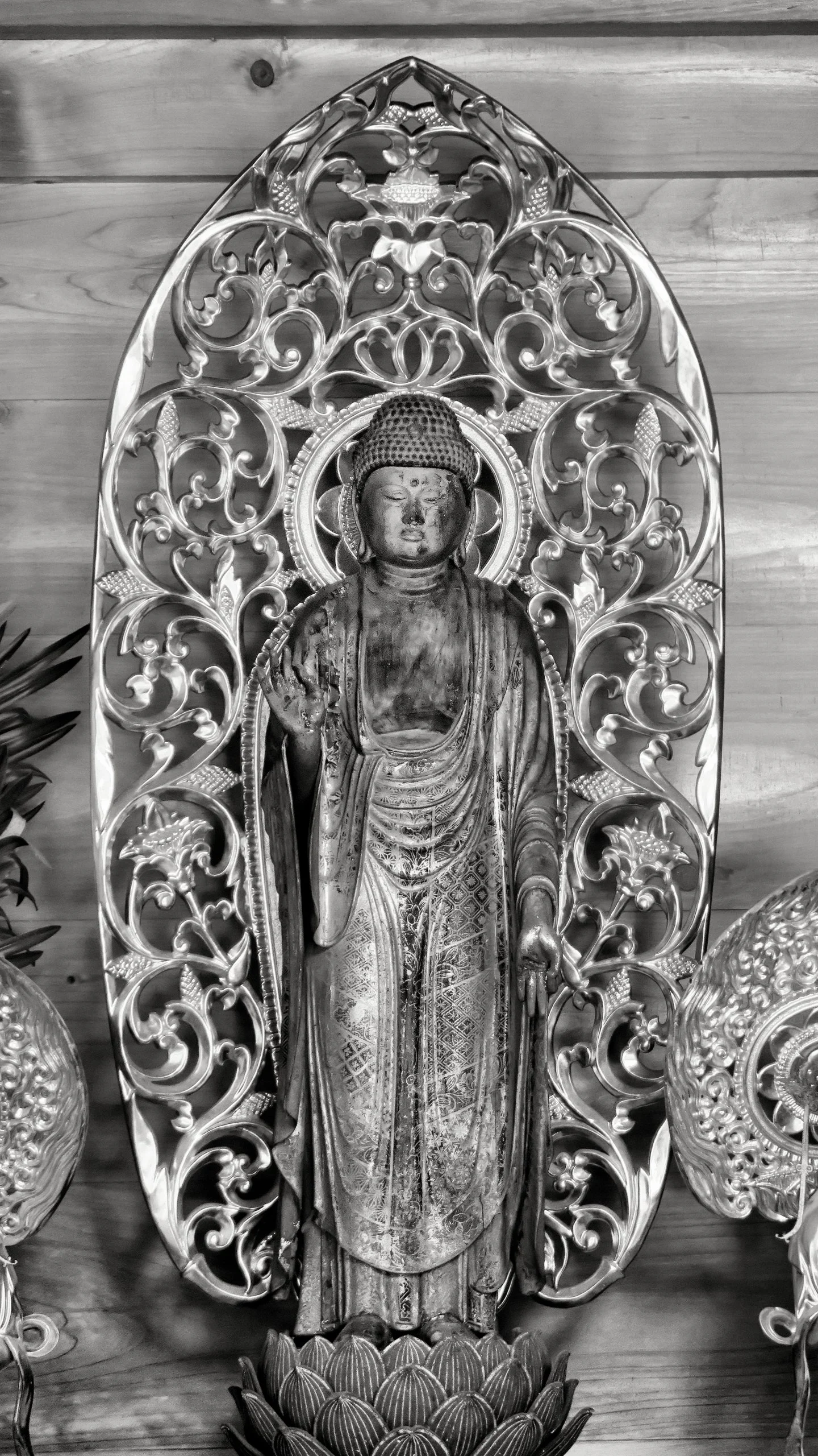 20190726 - 77_Nik_DxO.jpg