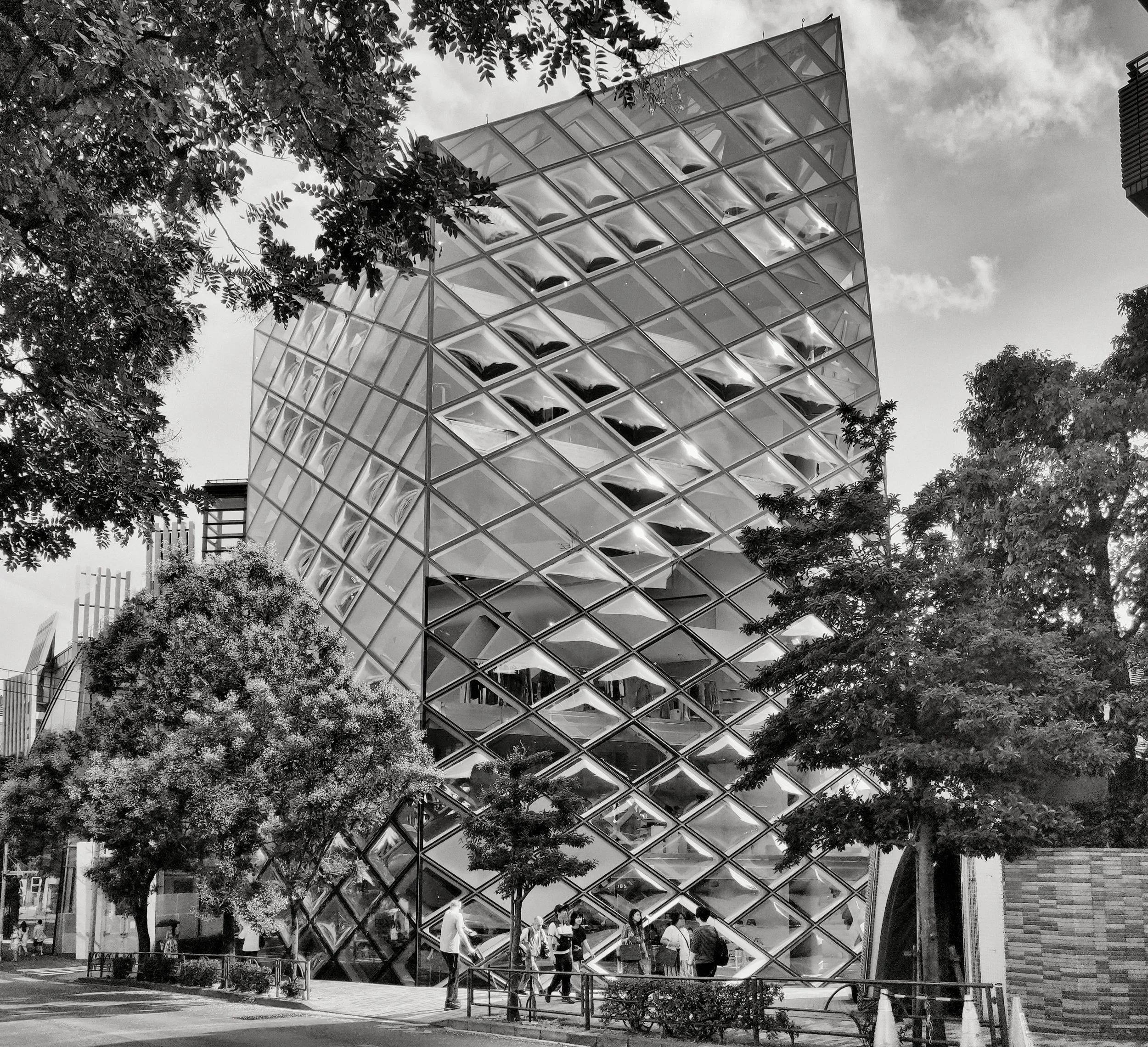 20190811 - 103_Nik_DxO.jpg