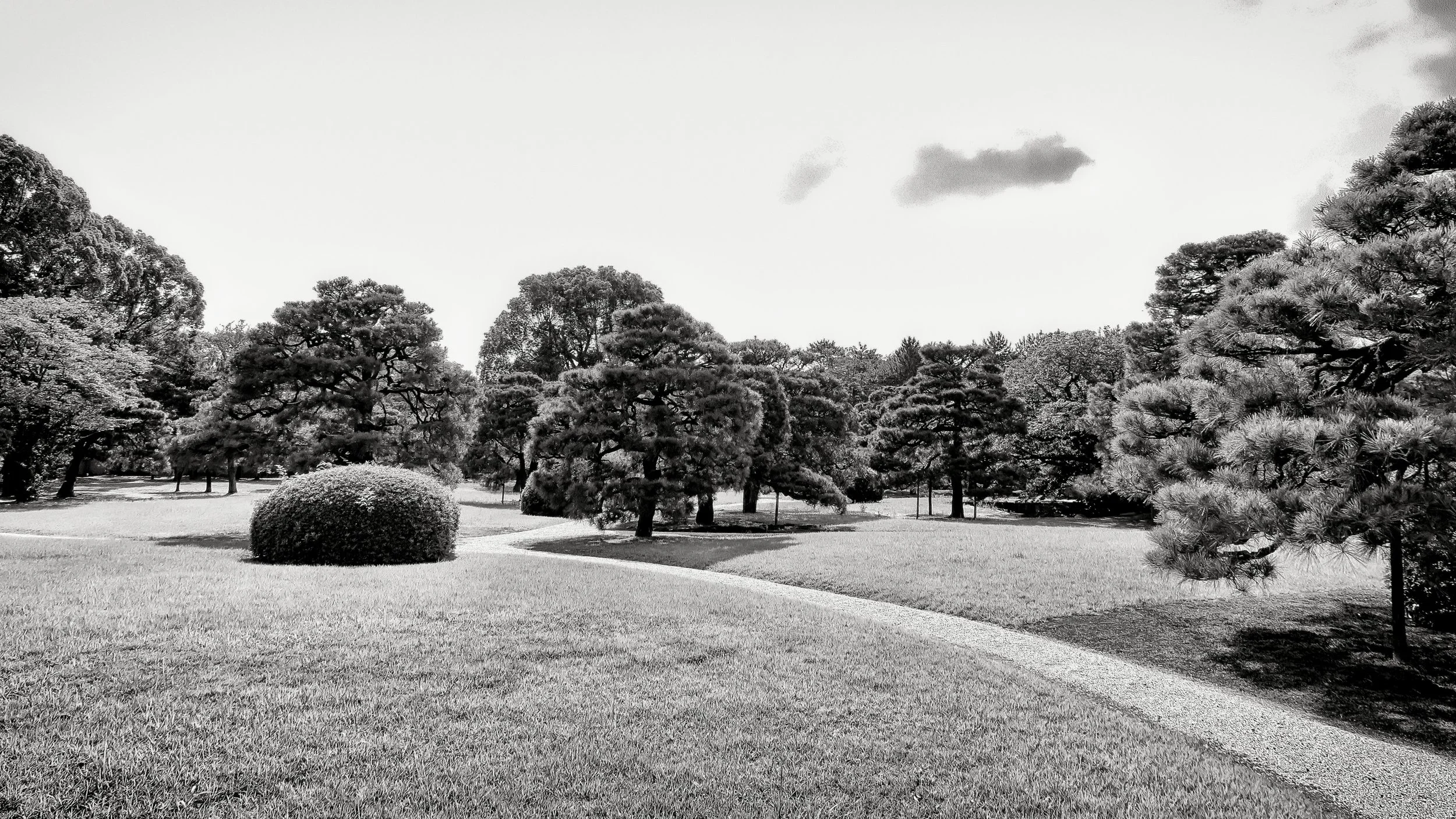 20190717 - 191_Nik_DxO.jpg