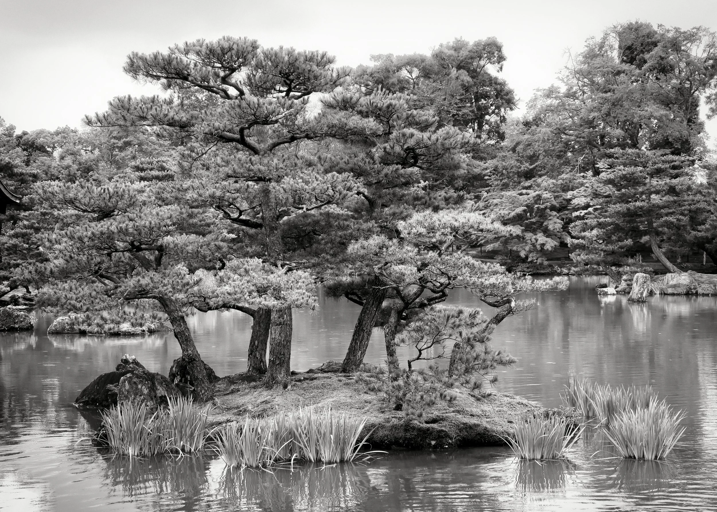 20190718 - 261_Nik_DxO.jpg