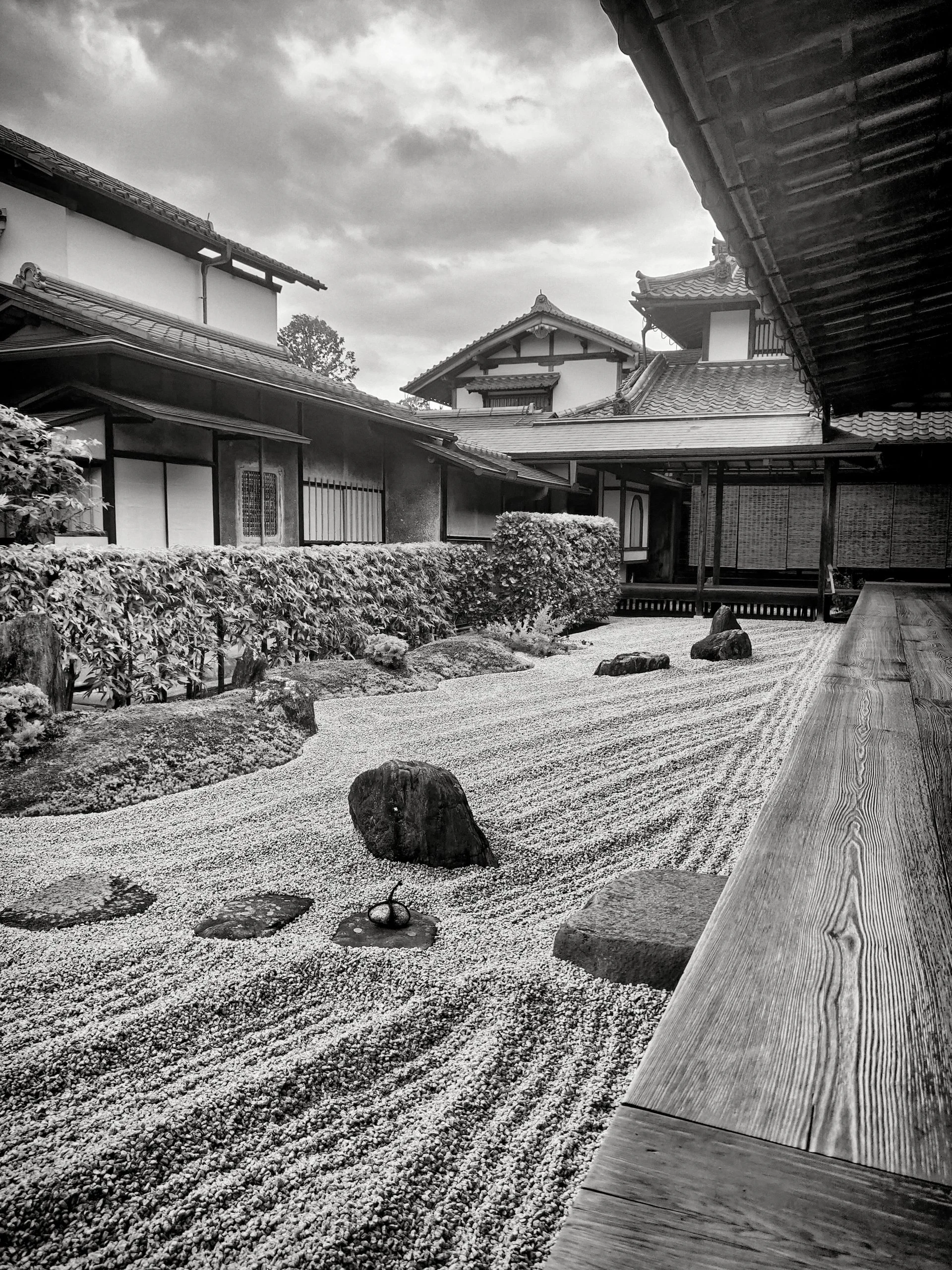 20190718 - 170_Nik_DxO.jpg