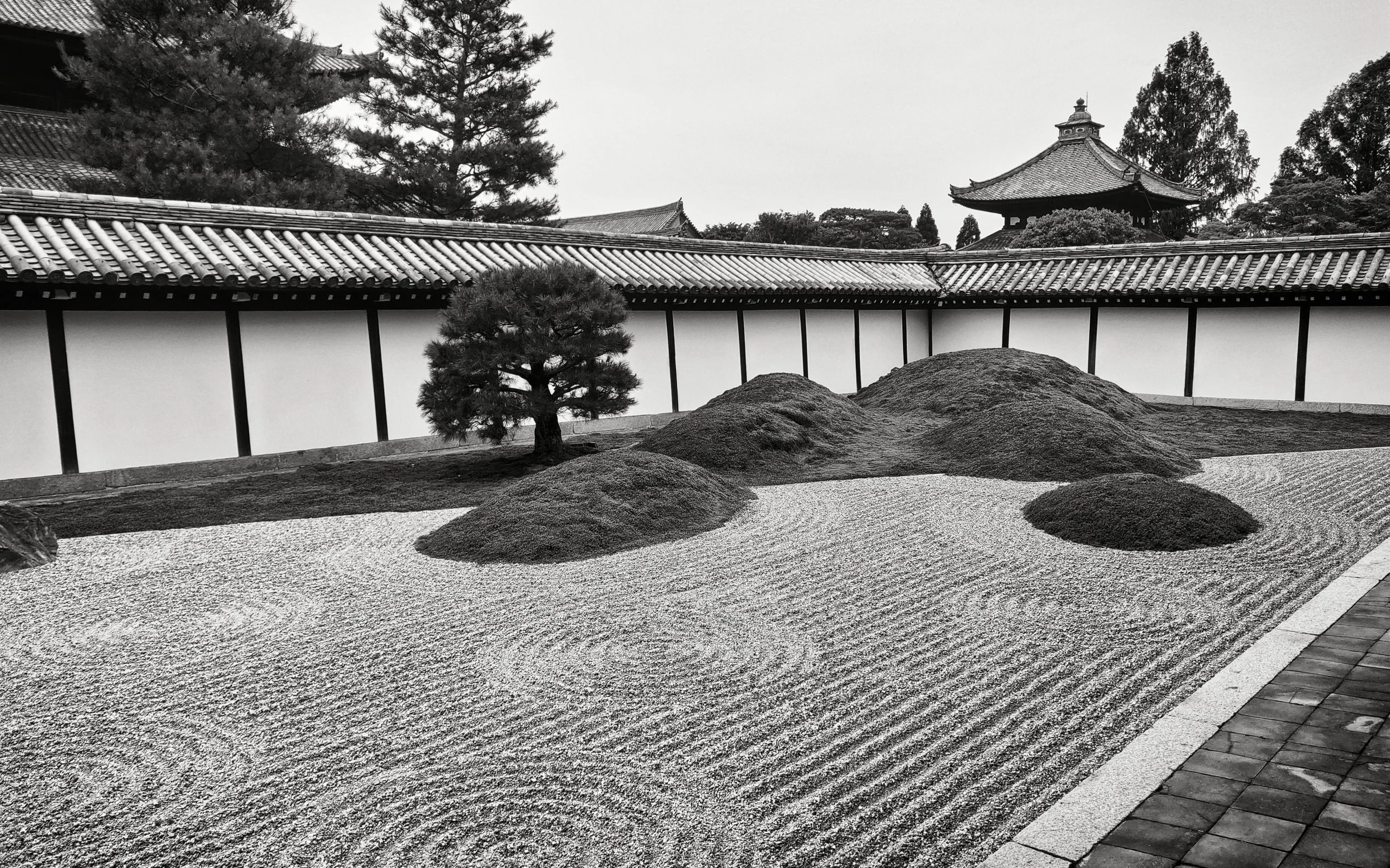 20190720 - 87_Nik_DxO.jpg