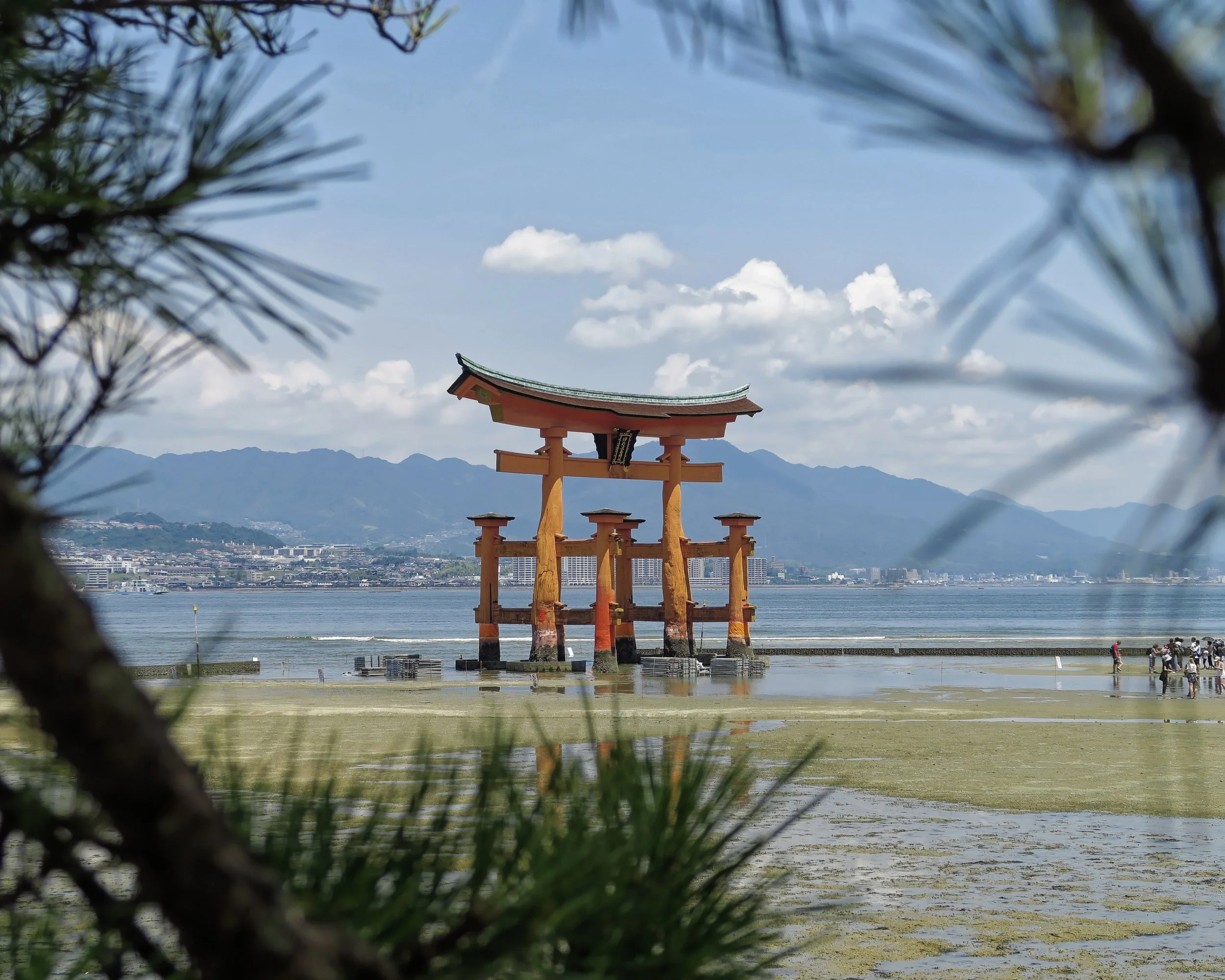 20190726 - 19_DxO.jpg