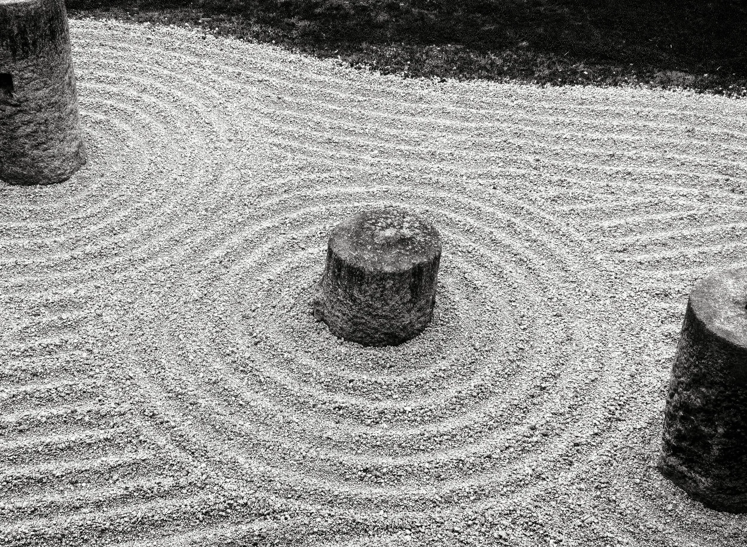 20190720 - 137_Nik_DxO.jpg