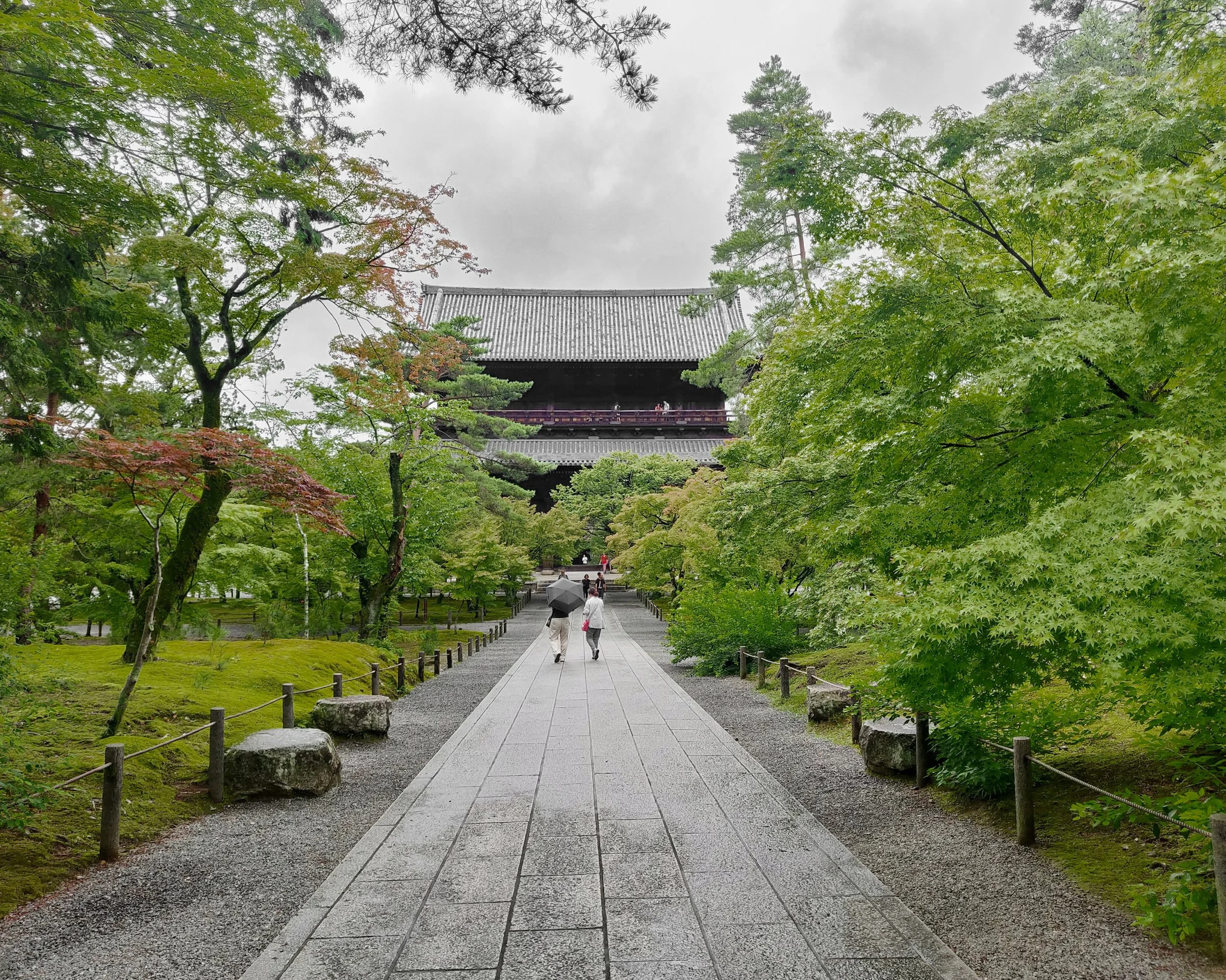 20190719 - 342_DxO.jpg