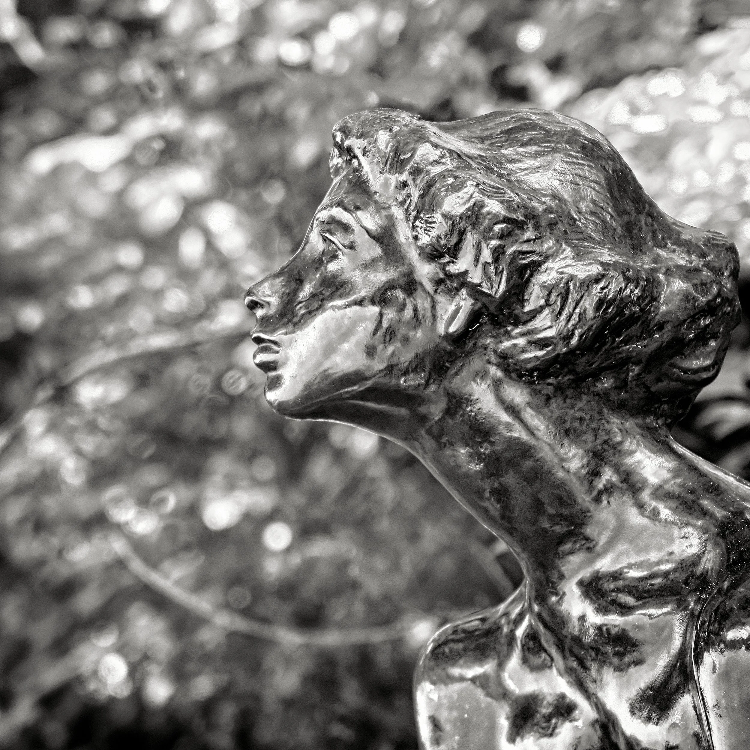 20190805 - 30_Nik-CEP_Nik_DxO.jpg