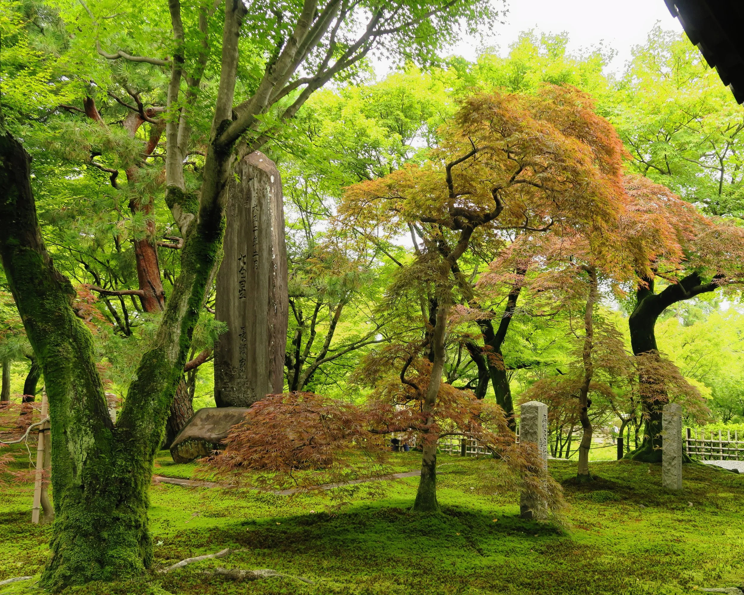 20190720 - 145_DxO.jpg