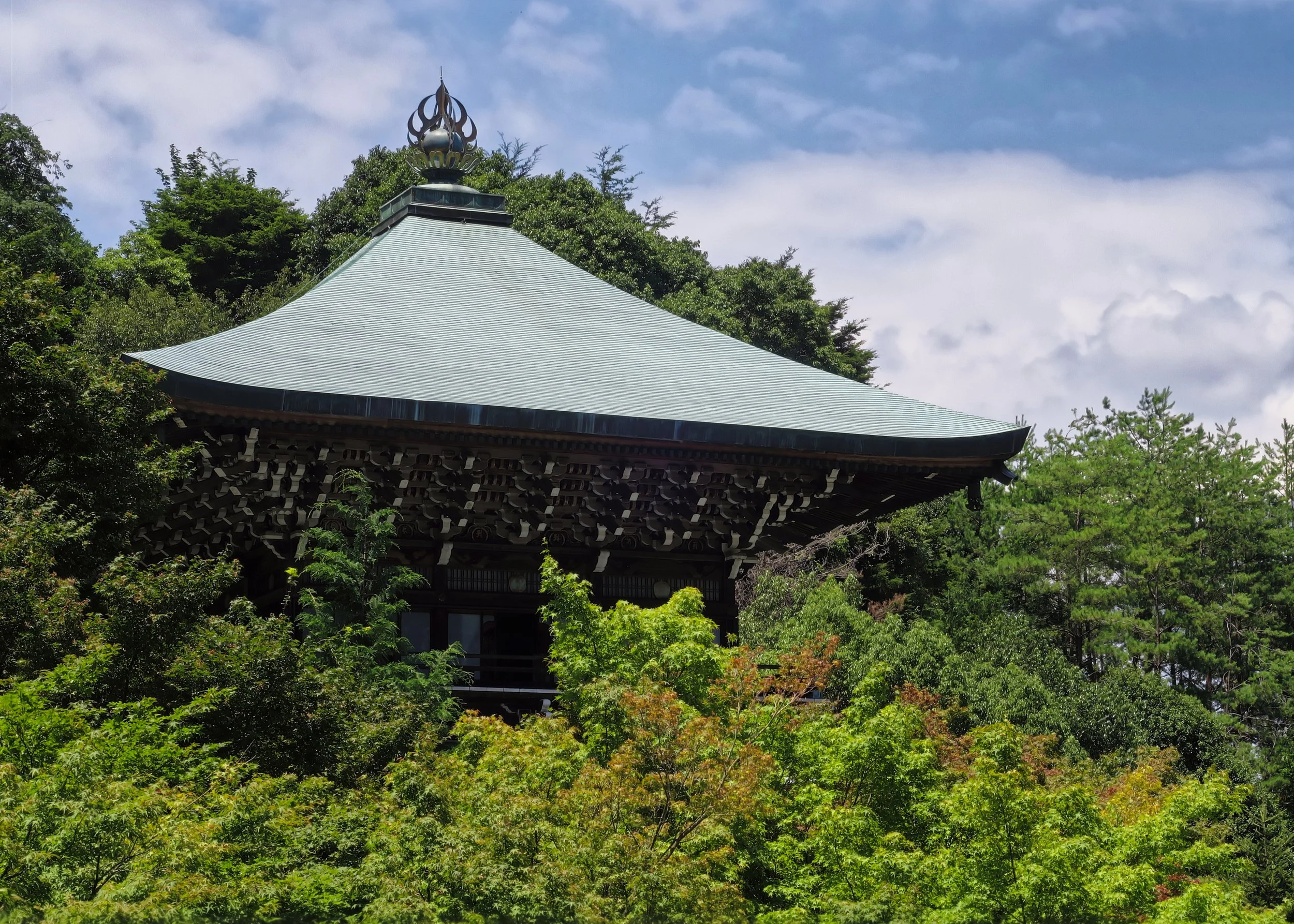 20190726 - 84_Nik-CEP_DxO.jpg