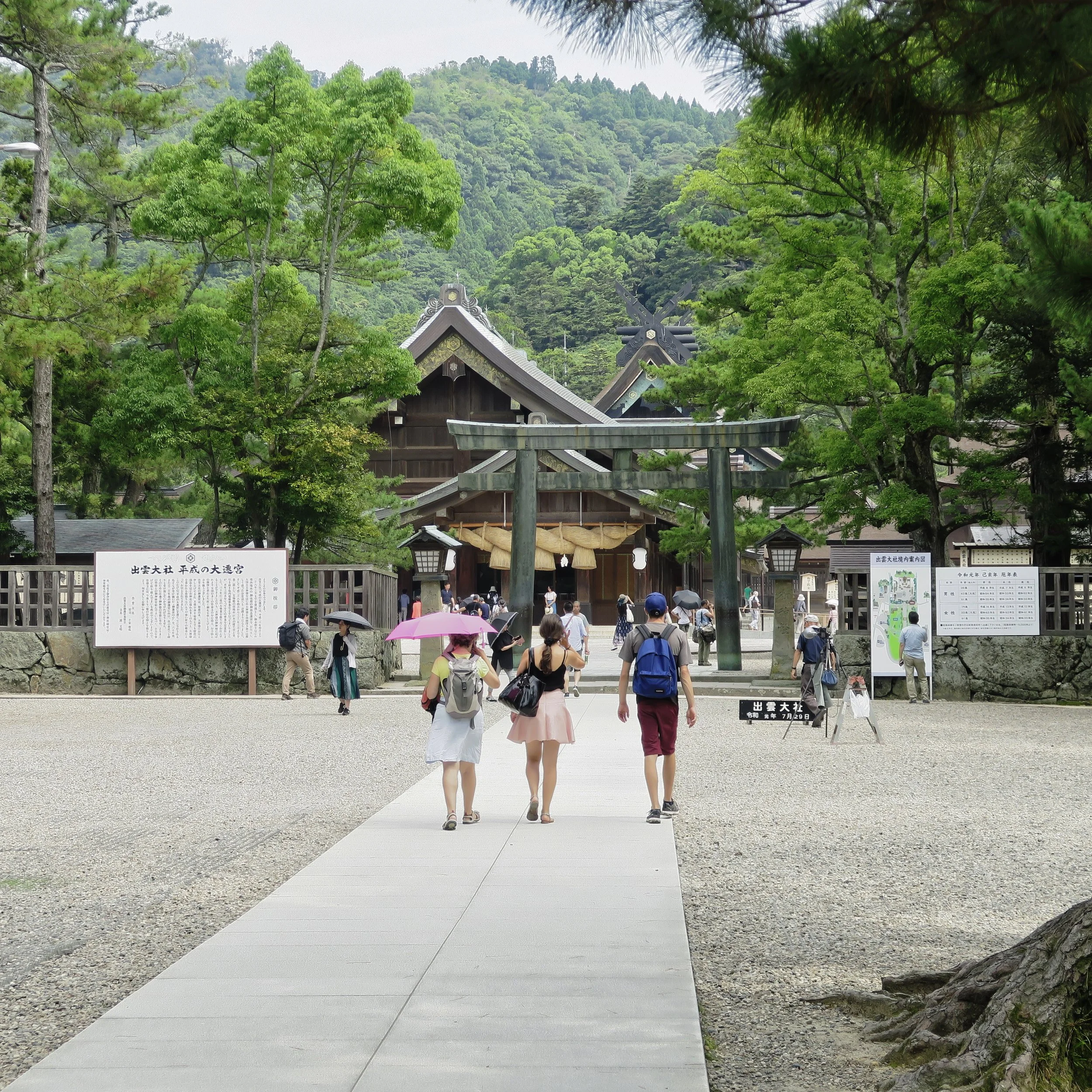 20190729 - 8_DxO.jpg