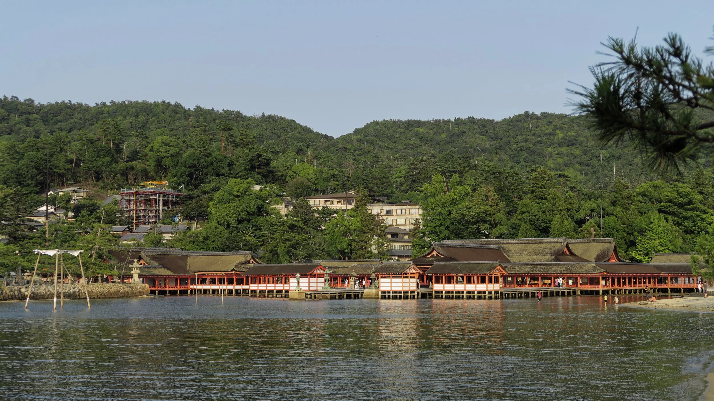 20190726 - 141_DxO.jpg