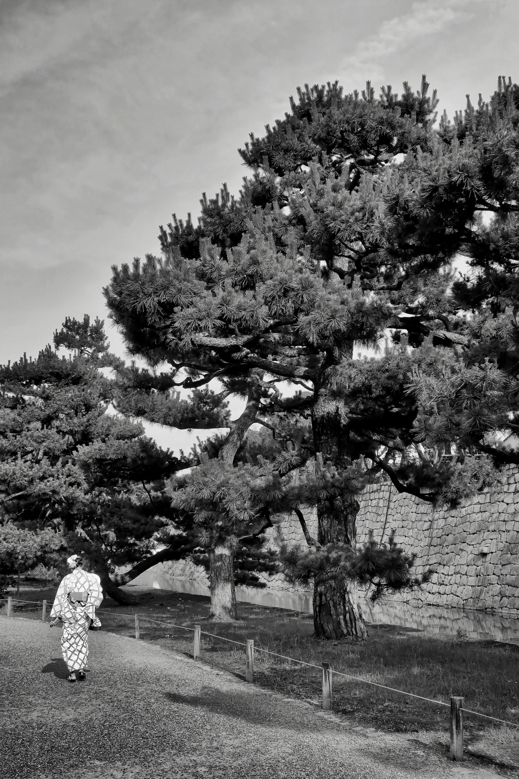 20190717 - 224_Nik_DxO.jpg