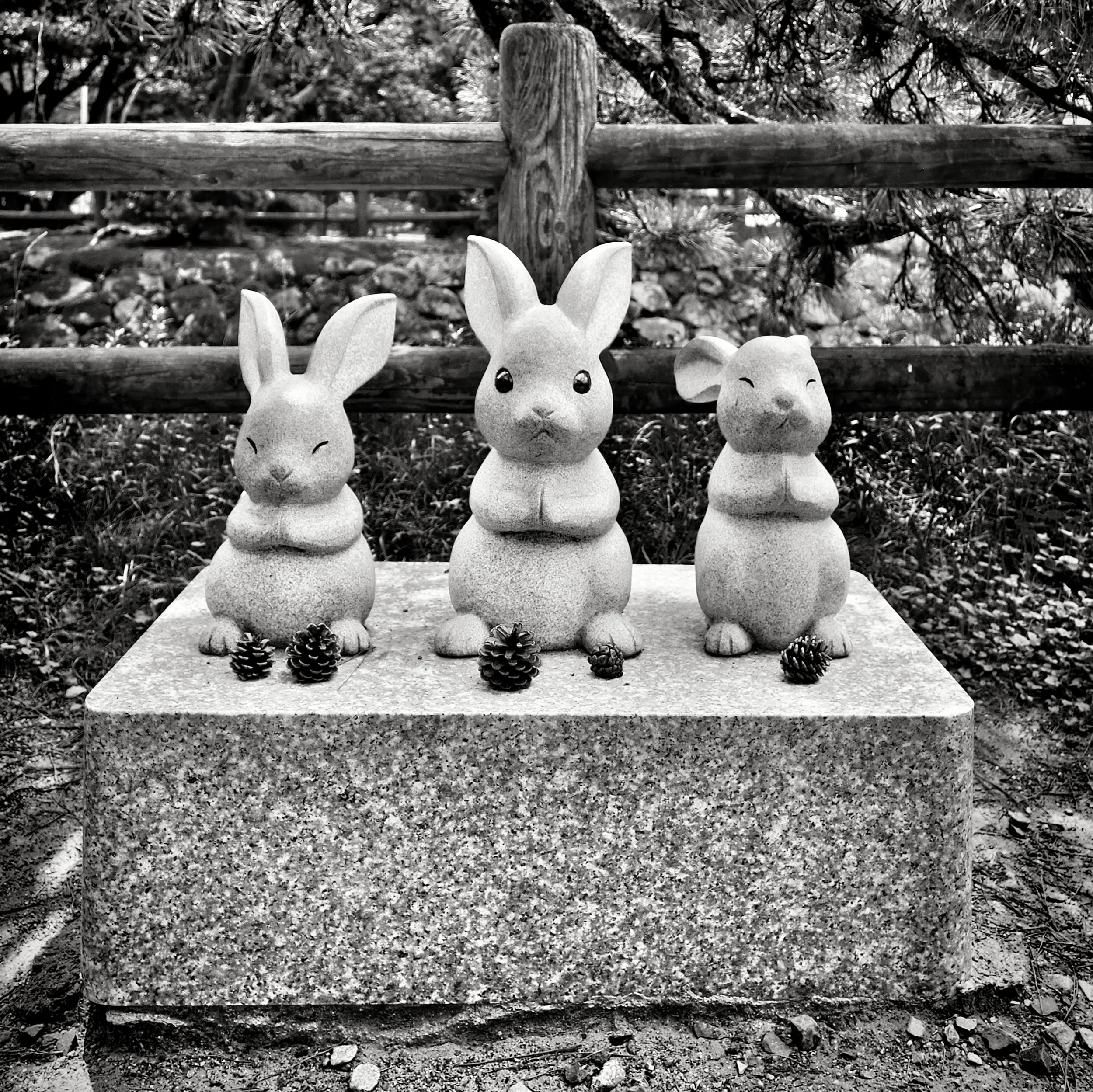 20190729 - 94_Nik_DxO.jpg