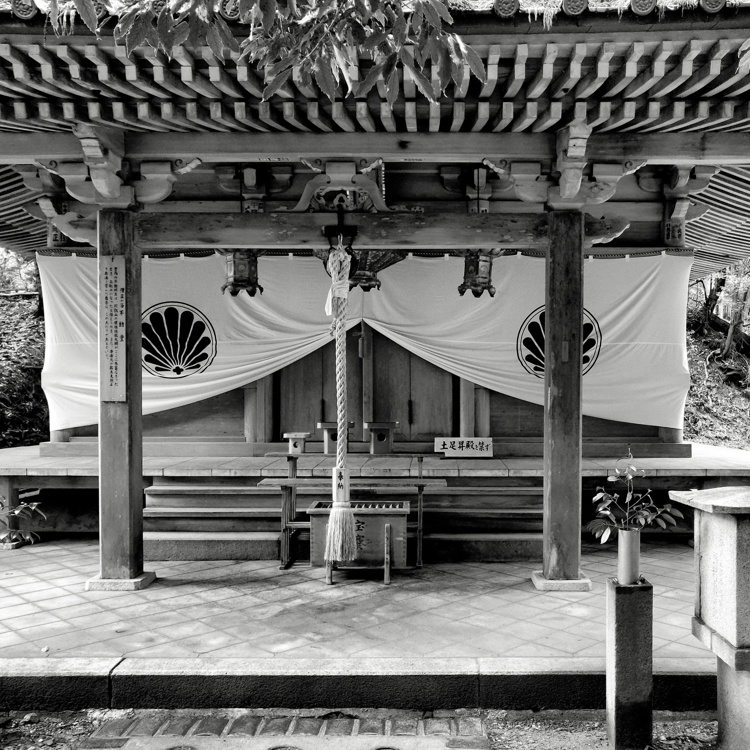 20190715 - 75_Nik_DxO.jpg