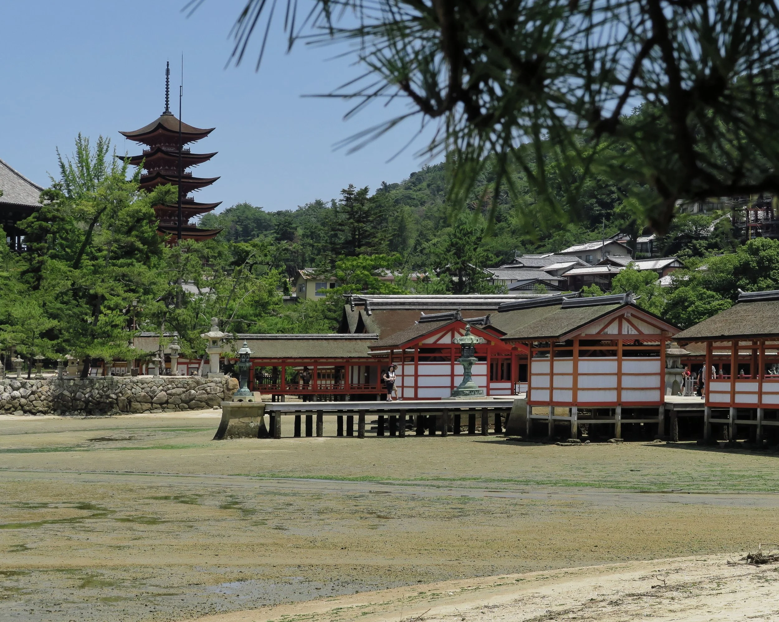 20190726 - 40_DxO.jpg