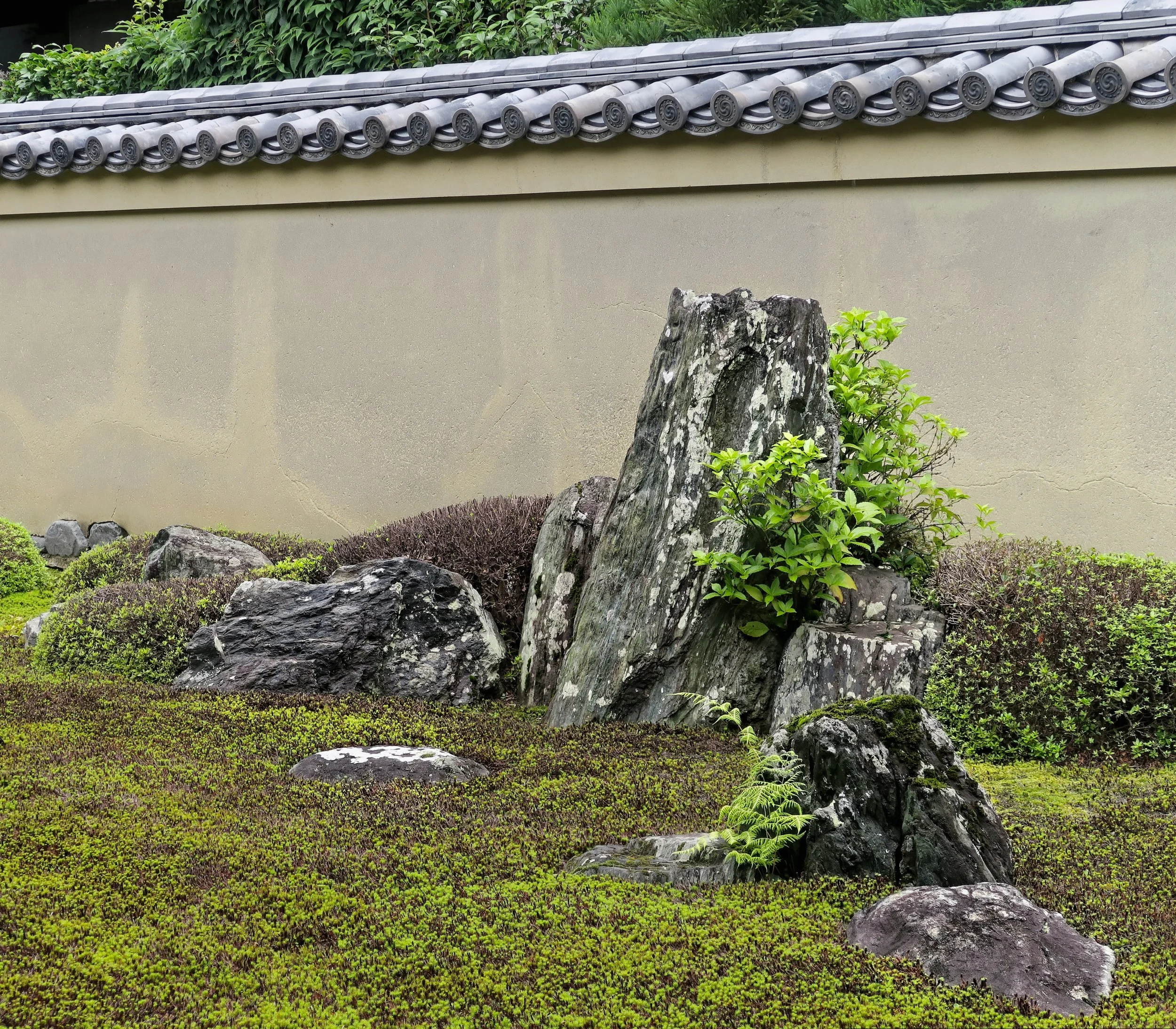 20190718 - 85_DxO.jpg