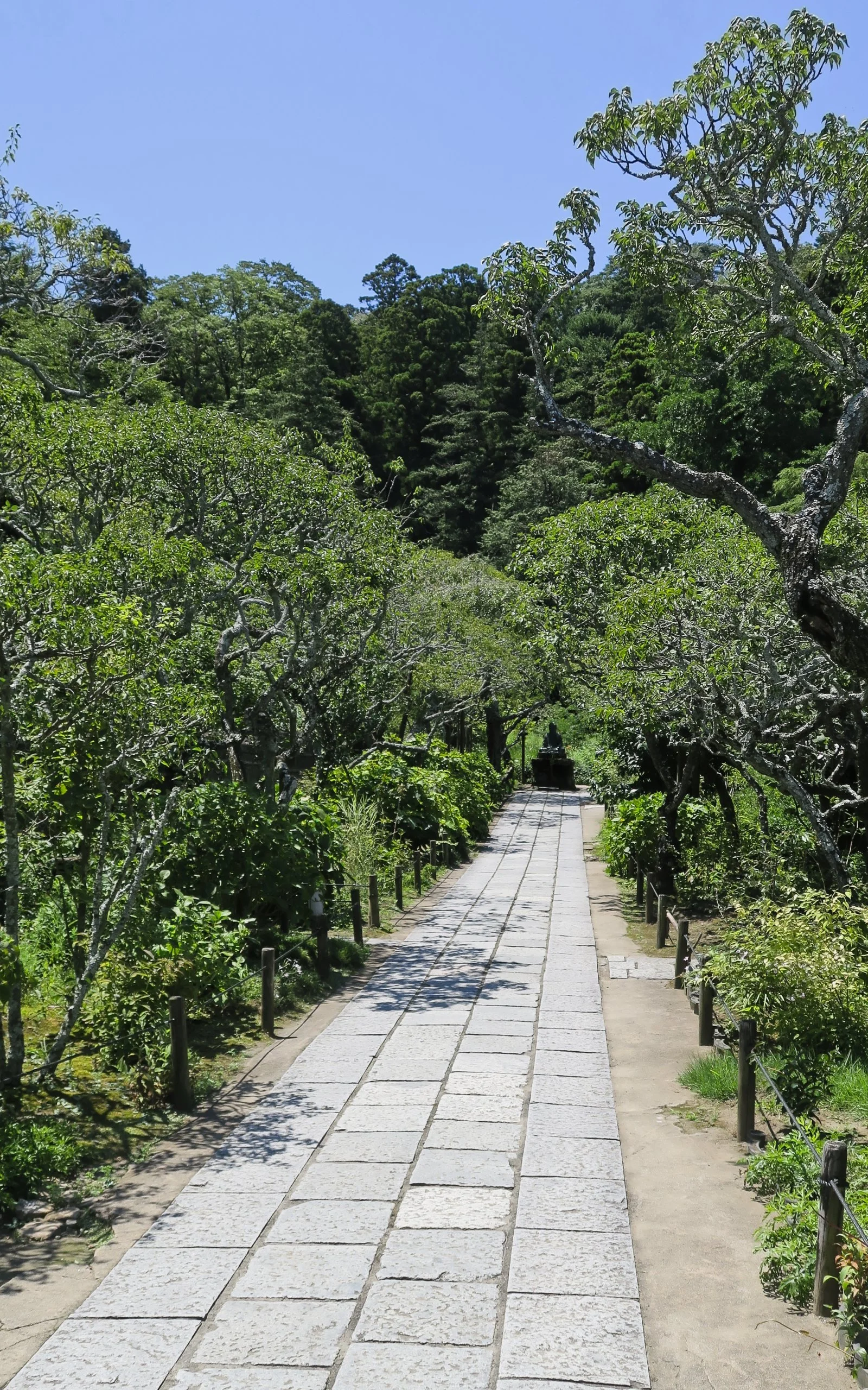 20190809 - 14_DxO.jpg