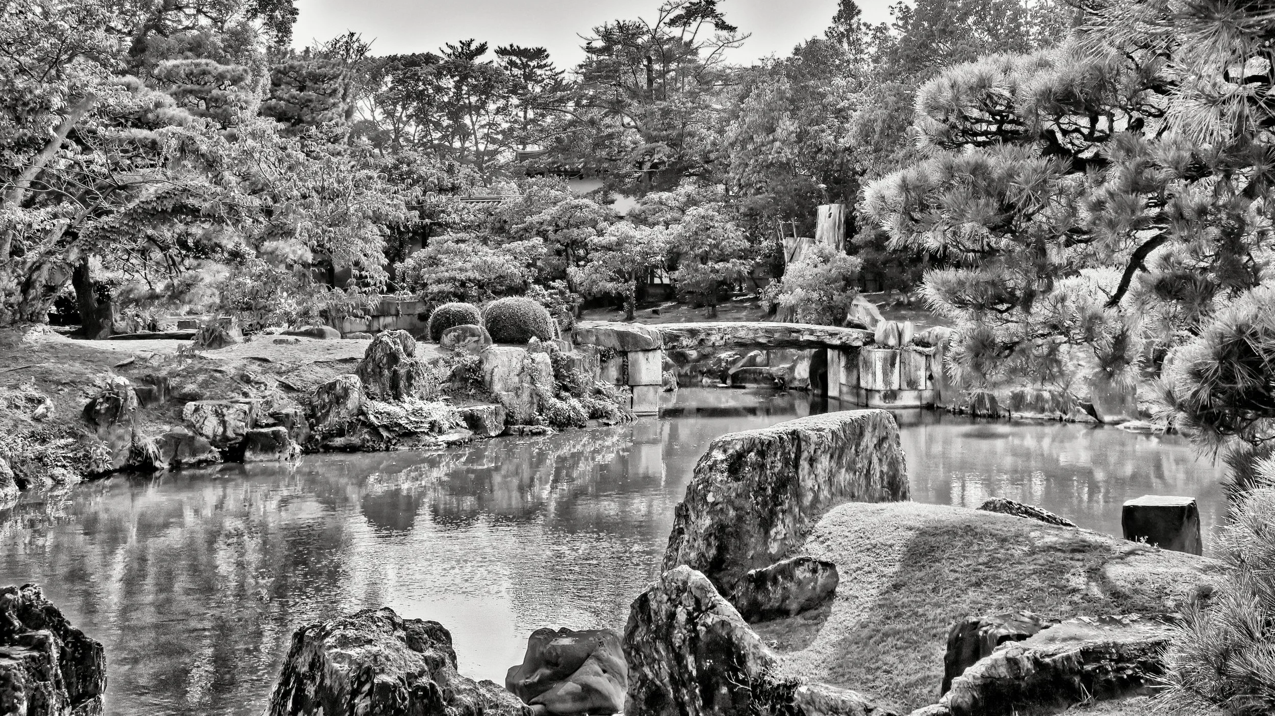 20190717 - 201_Nik_DxO.jpg