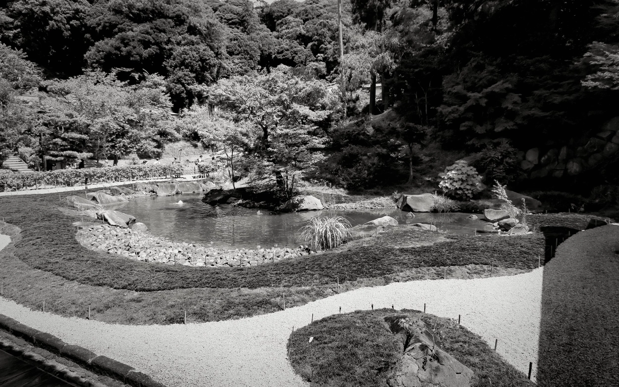 20190809 - 12_Nik_DxO.jpg