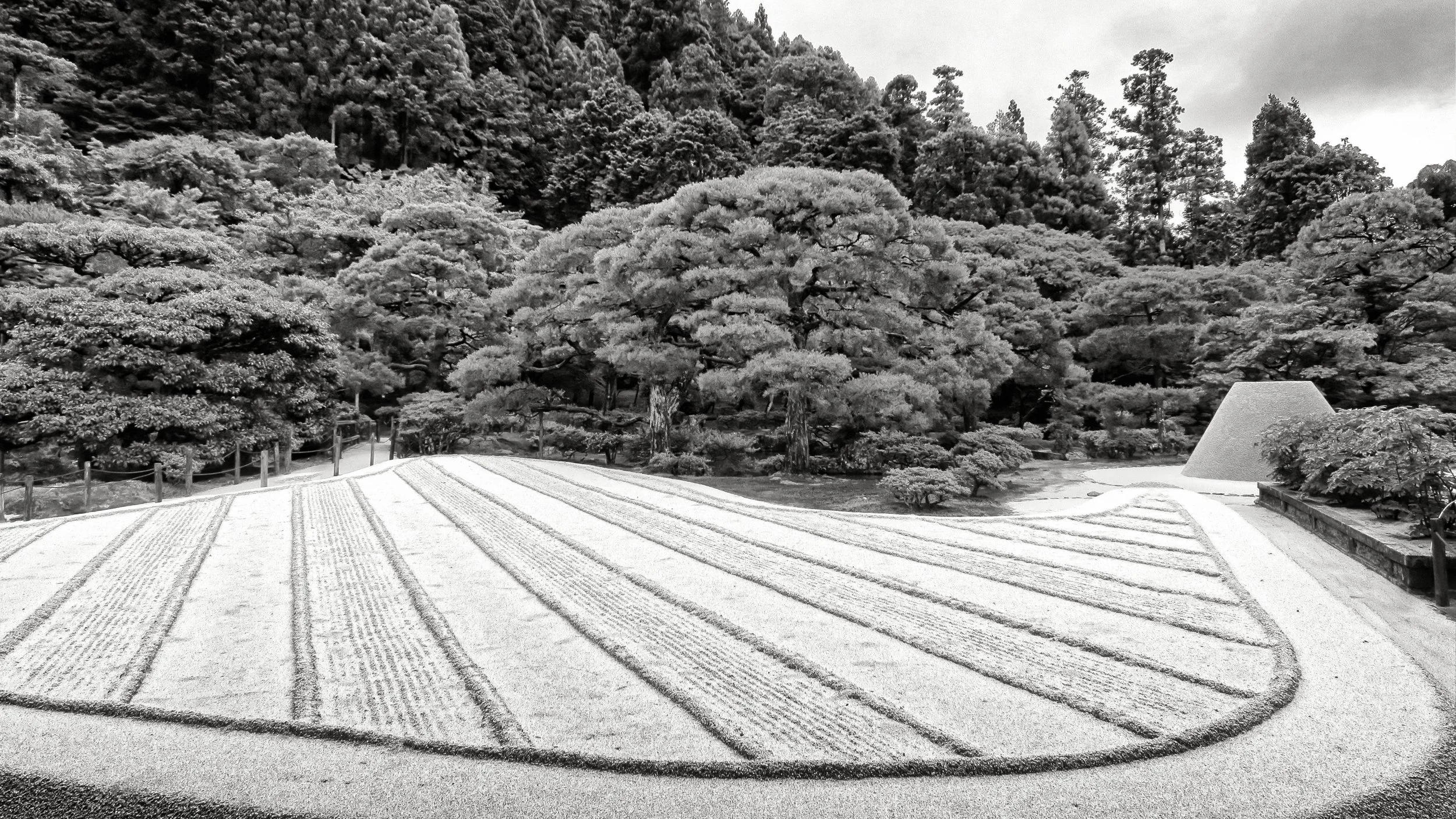 20190719 - 29_Nik_DxO.jpg