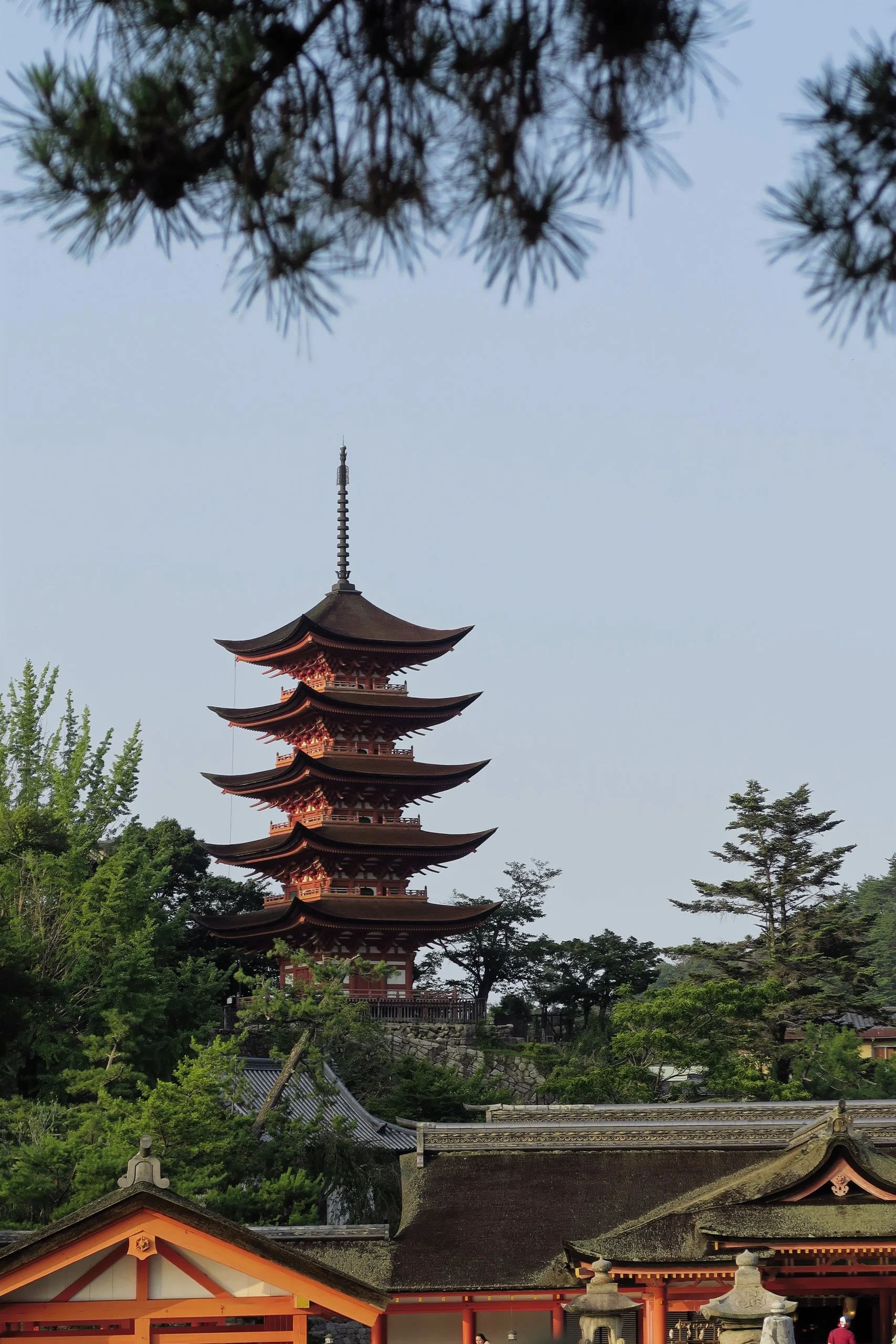 20190726 - 145_DxO.jpg