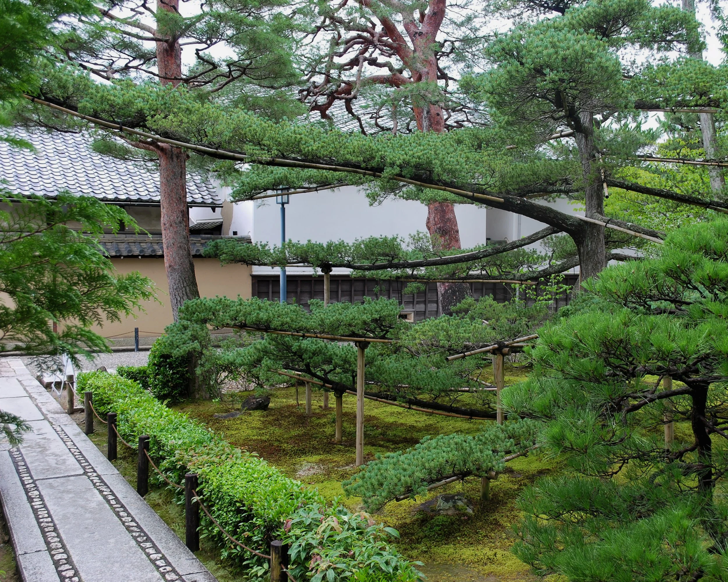 20190718 - 12_DxO.jpg