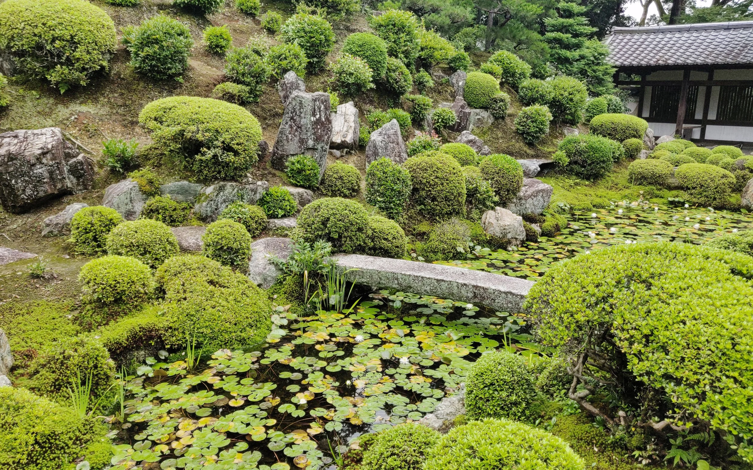 20190720 - 155_DxO.jpg