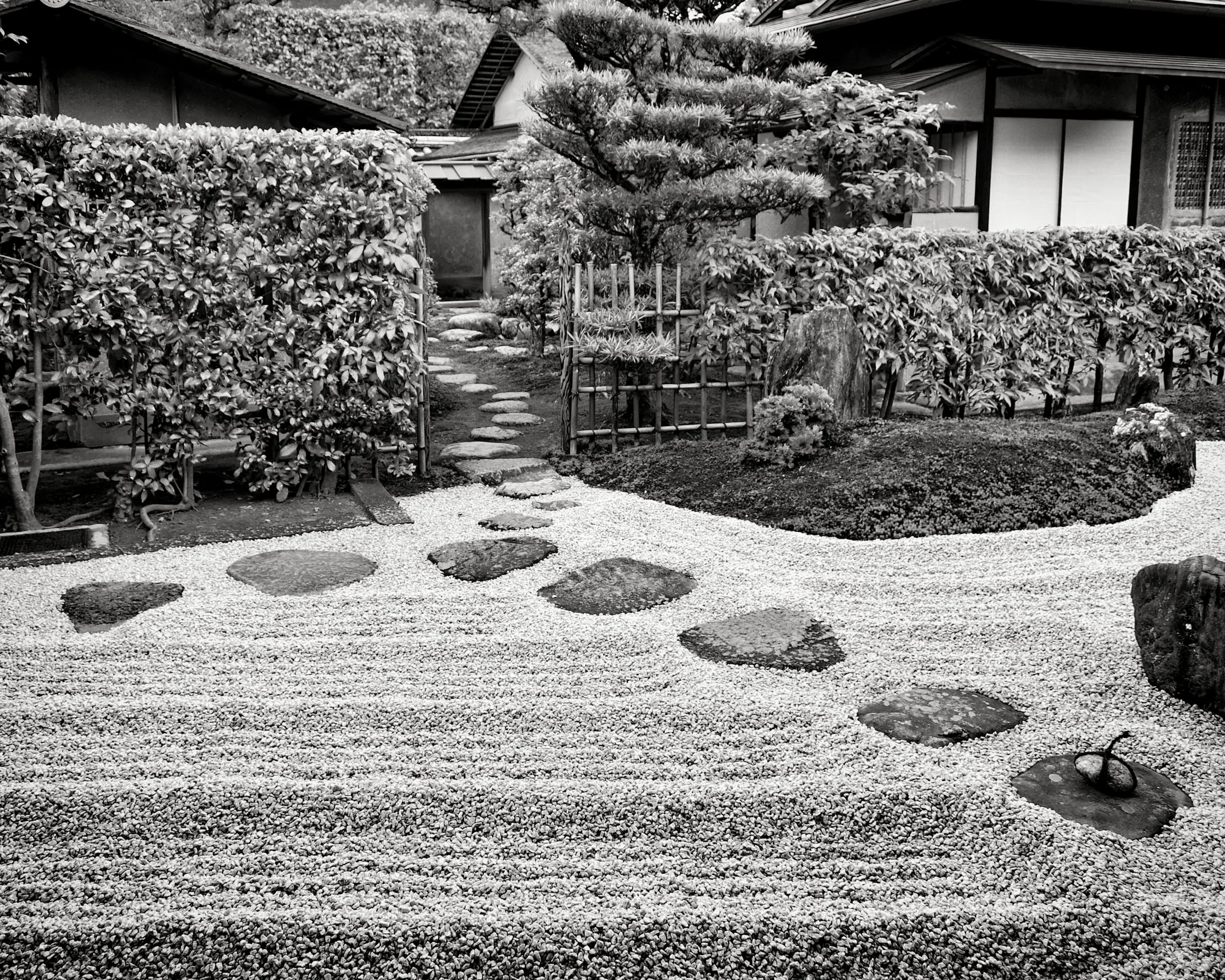 20190718 - 171_Nik_DxO.jpg