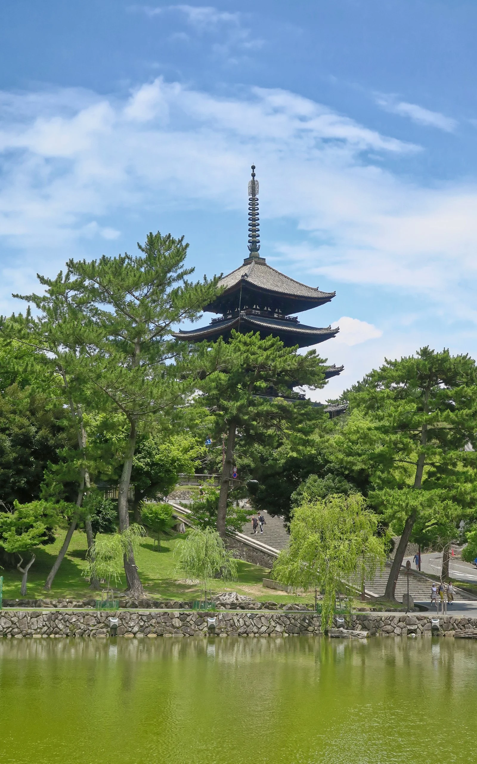 20190716 - 13_DxO.jpg