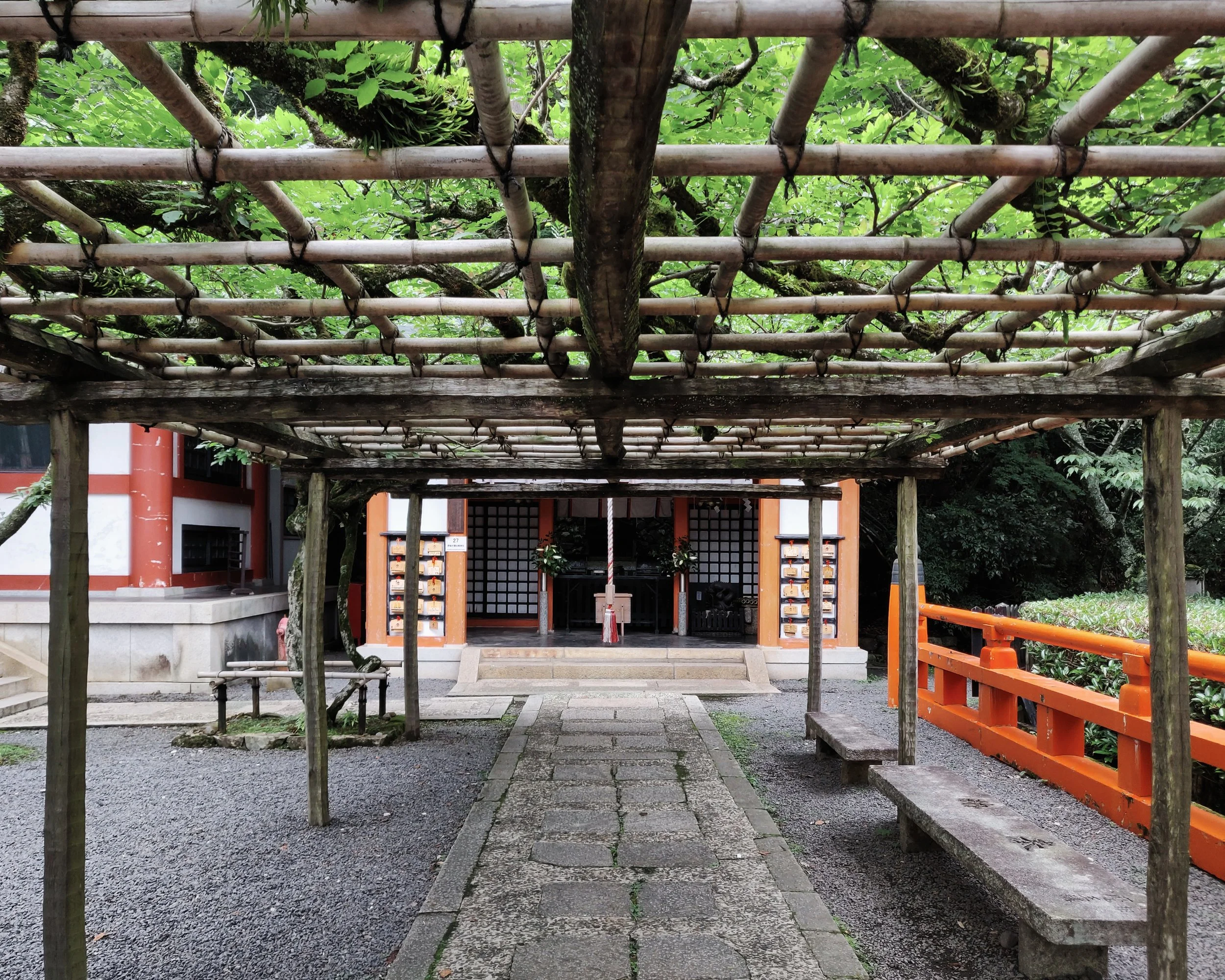 20190715 - 57_DxO.jpg