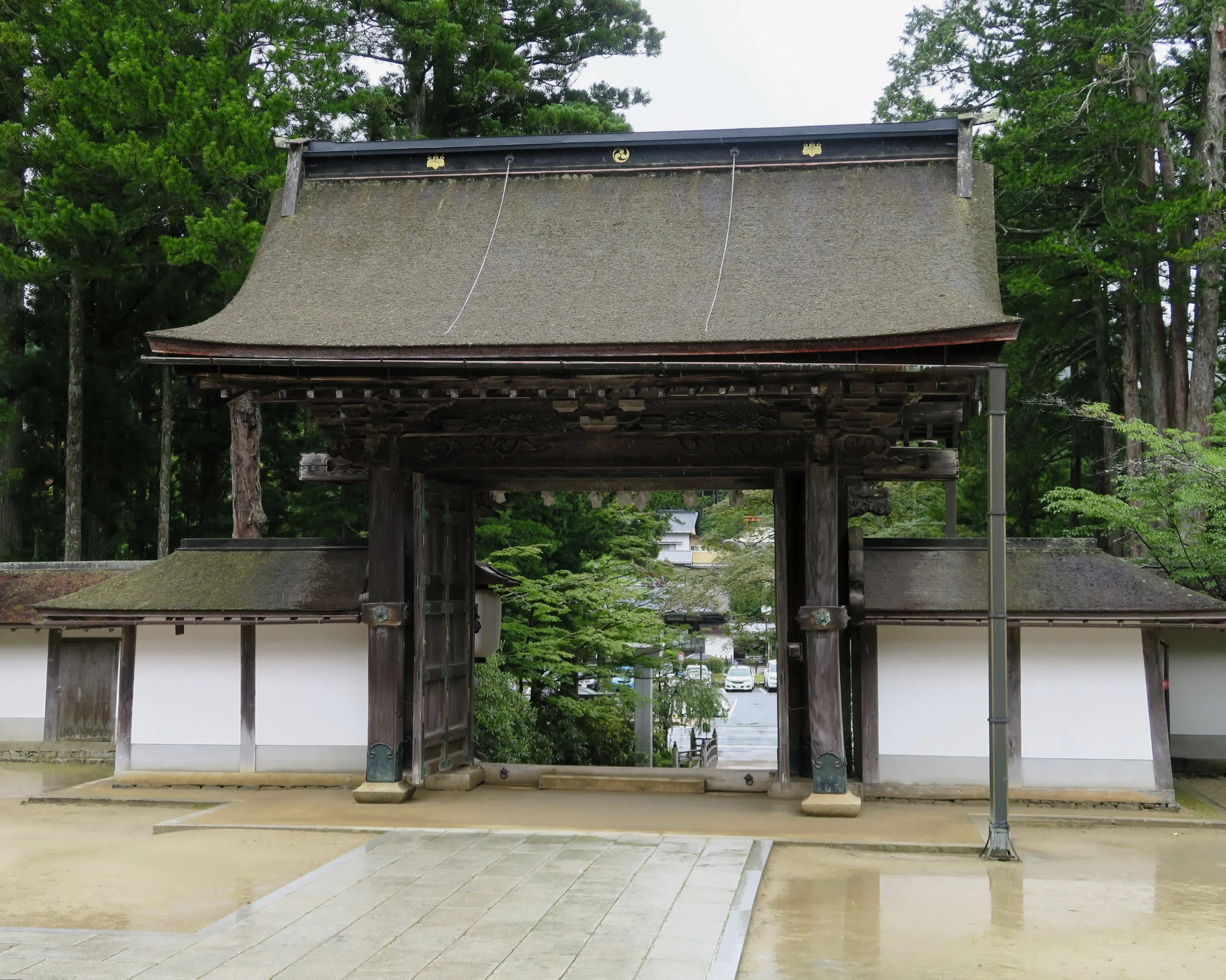 20190722 - 4_DxO.jpg