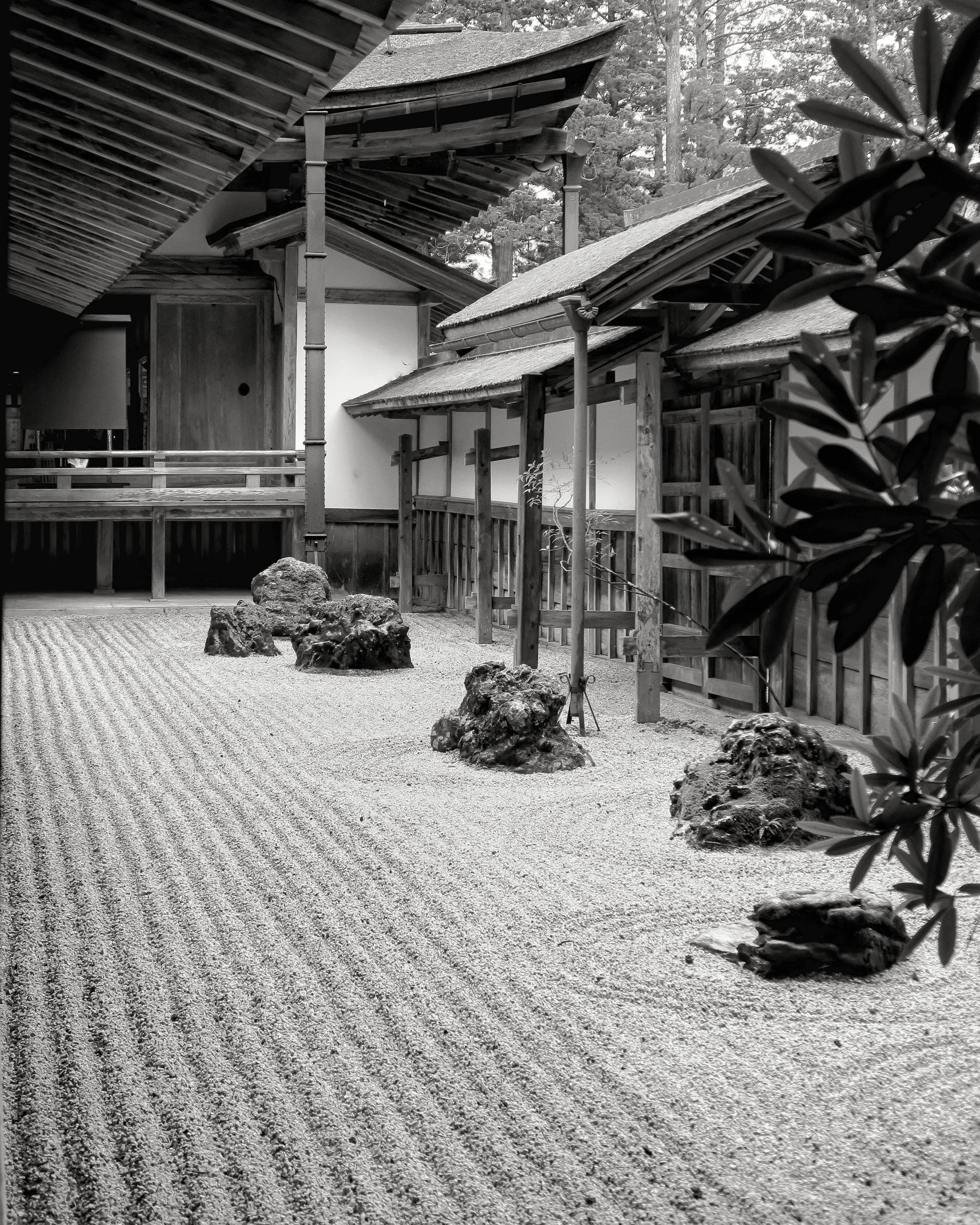 20190722 - 12_Nik_DxO.jpg