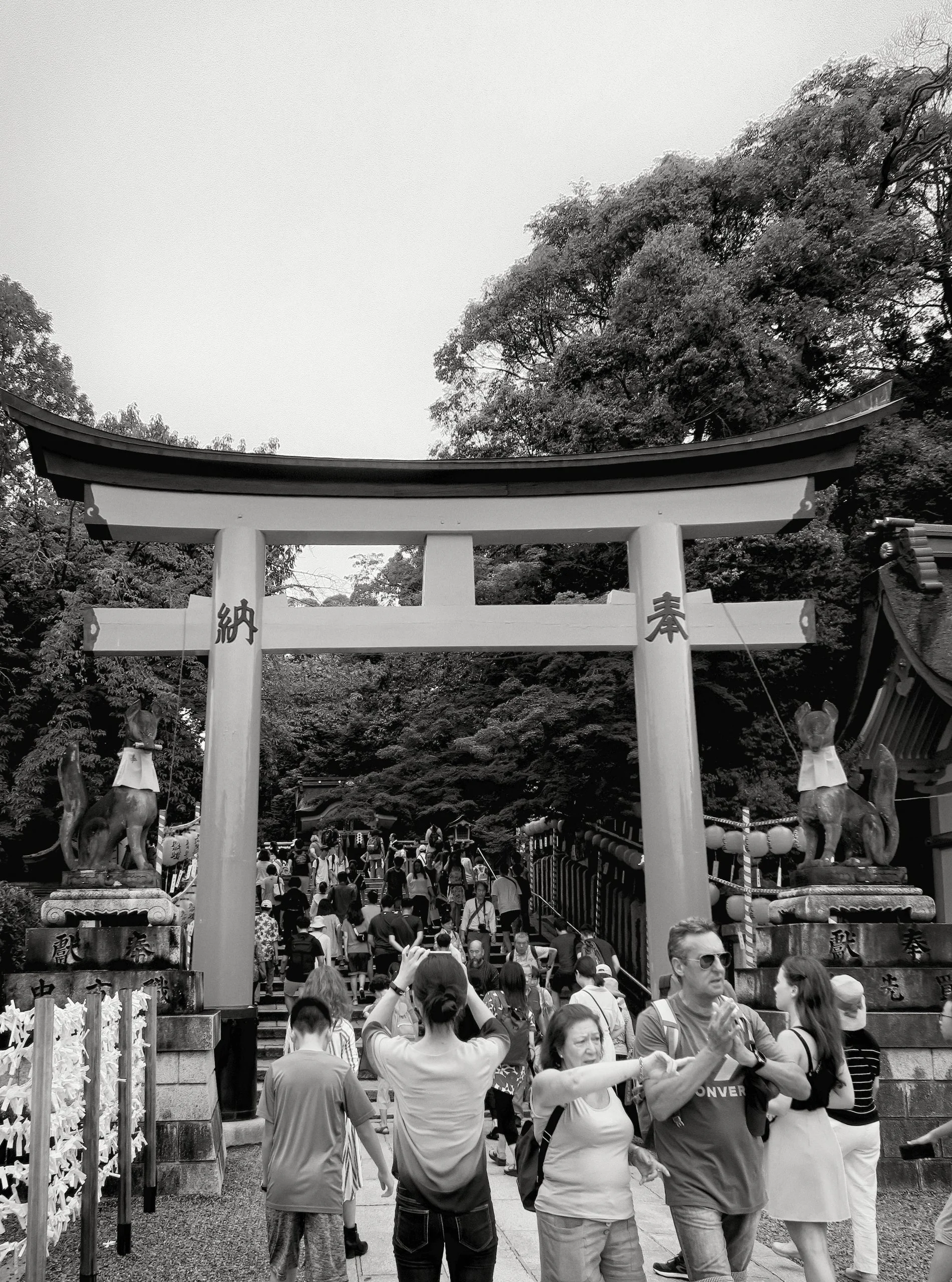 20190720 - 12_Nik_DxO.jpg