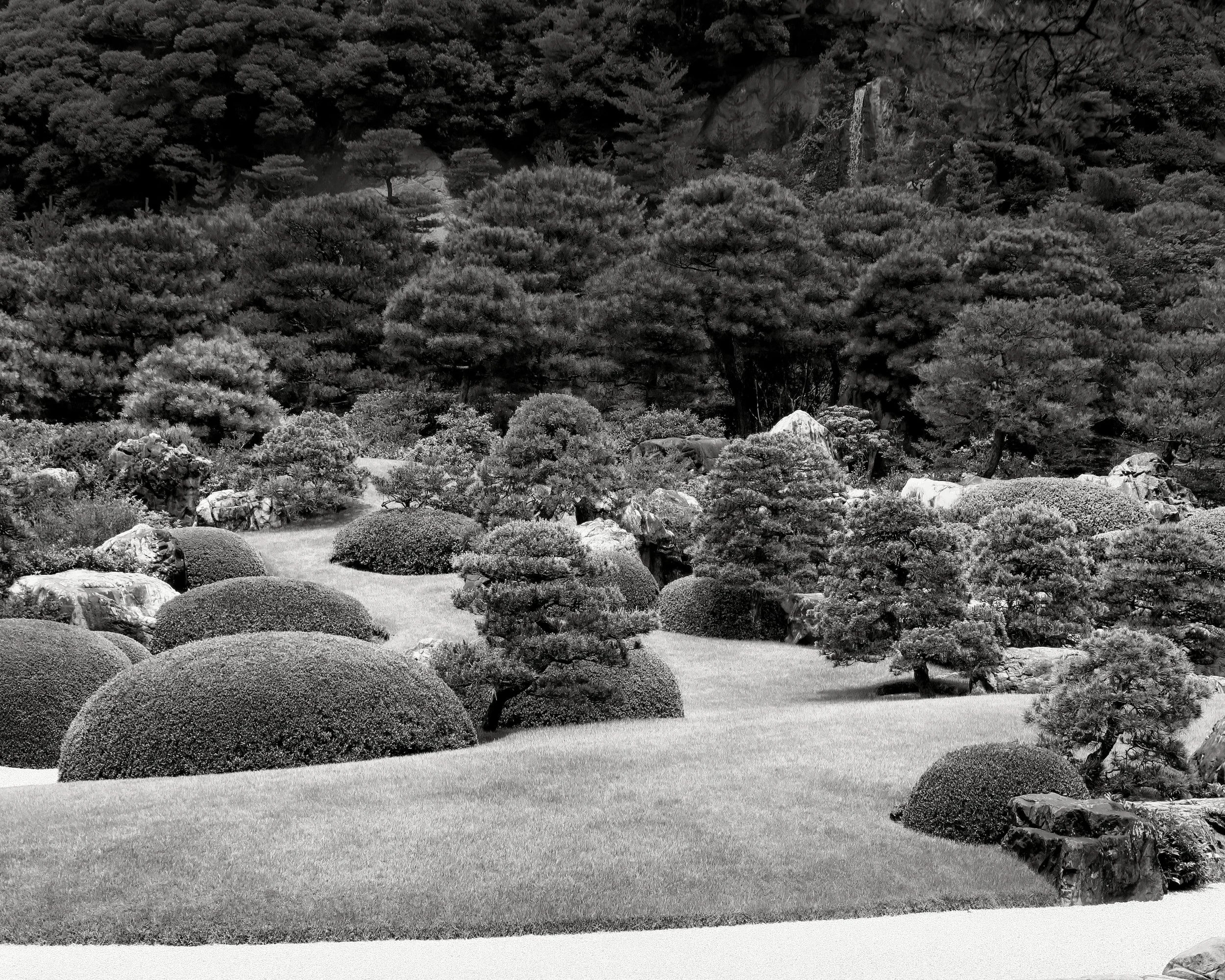 20190728 - 46_Nik_DxO.jpg