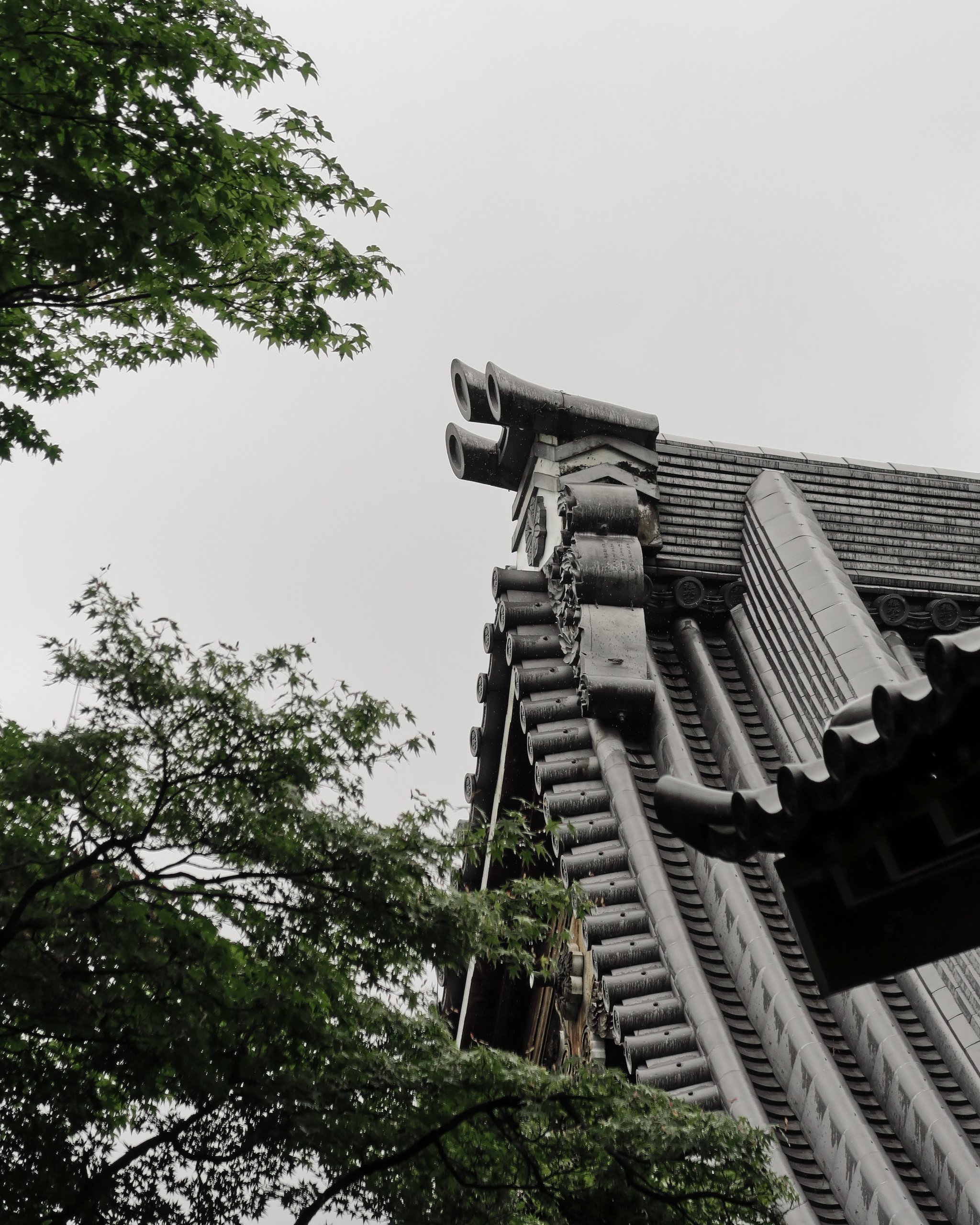 20190719 - 220_DxO.jpg