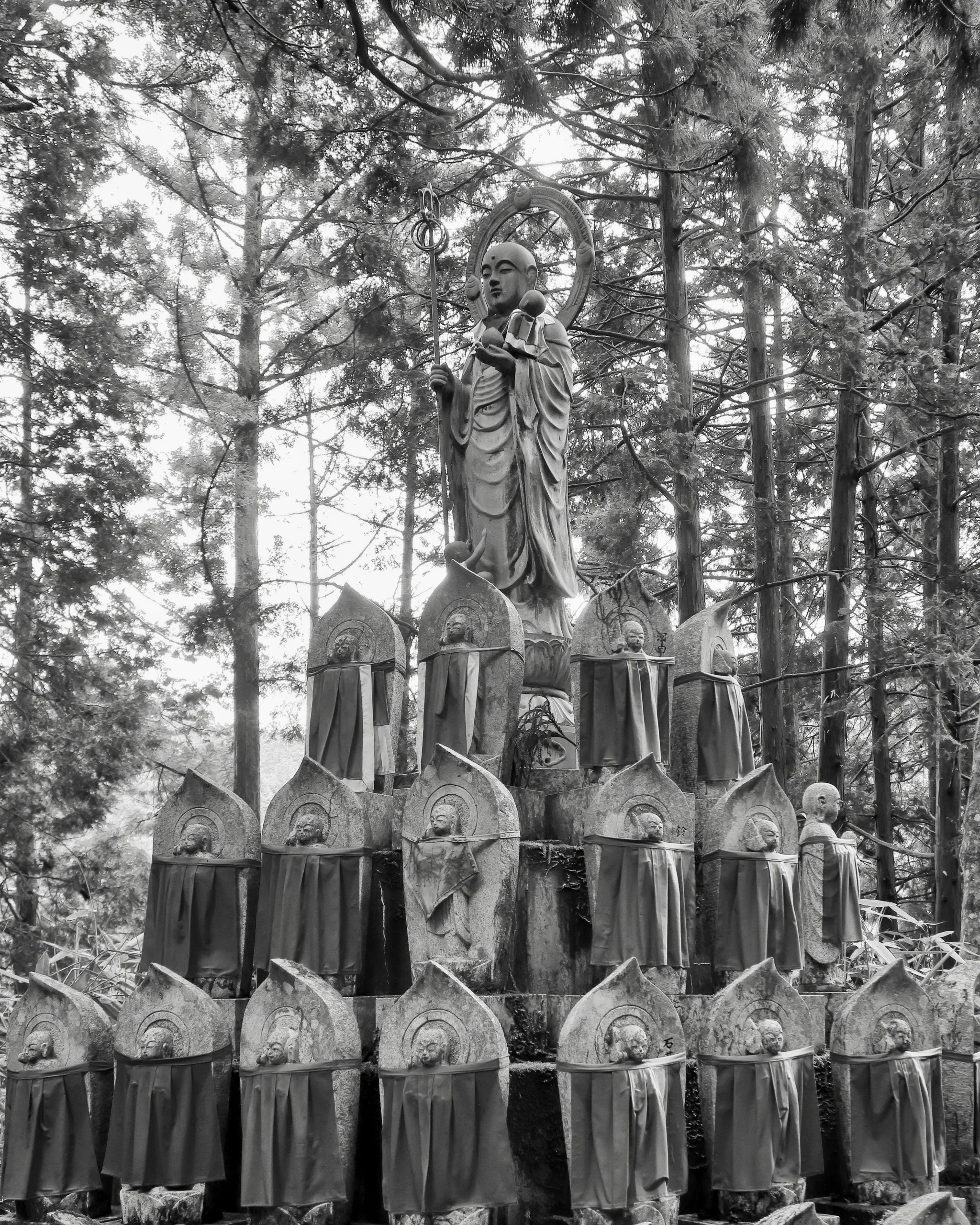 20190722 - 169_Nik_DxO.jpg