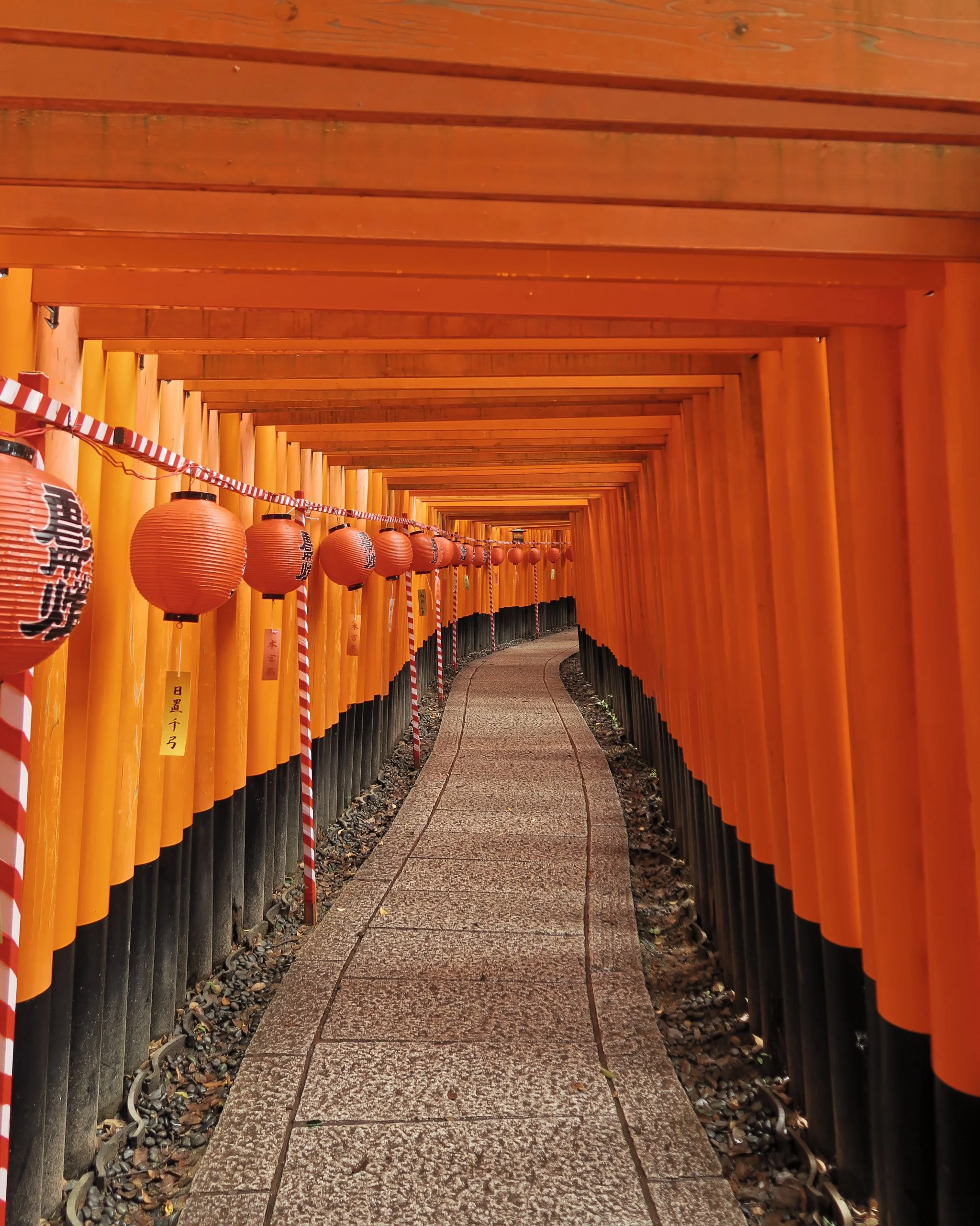 20190720 - 18_DxO.jpg