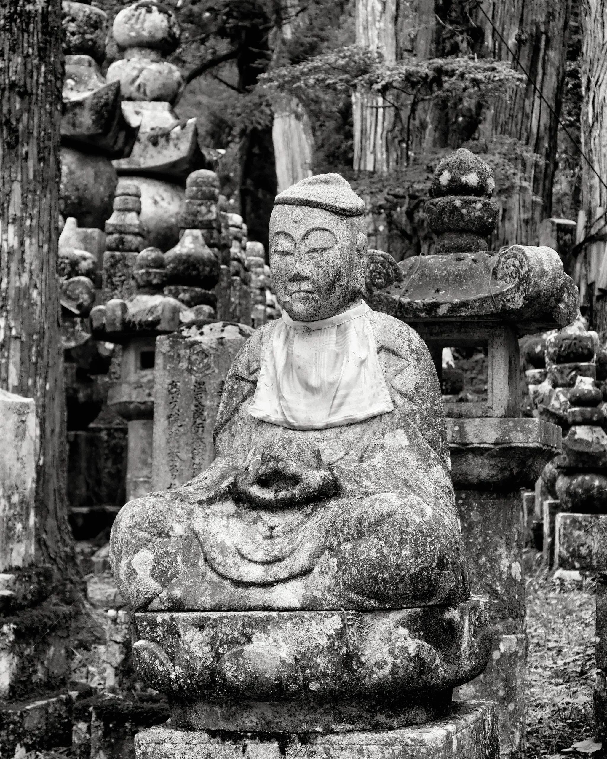 20190722 - 127_Nik_DxO.jpg