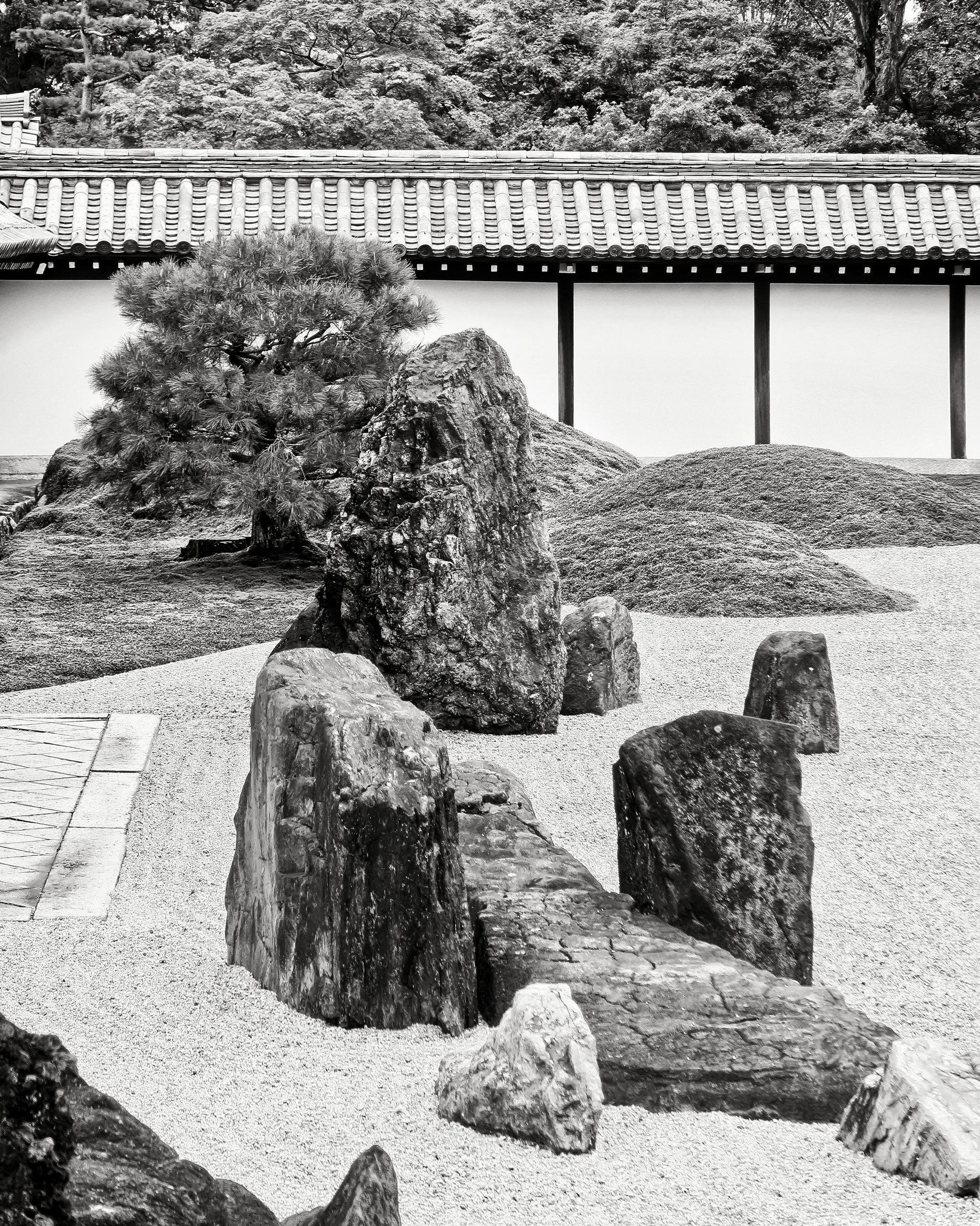 20190720 - 141_Nik_DxO.jpg