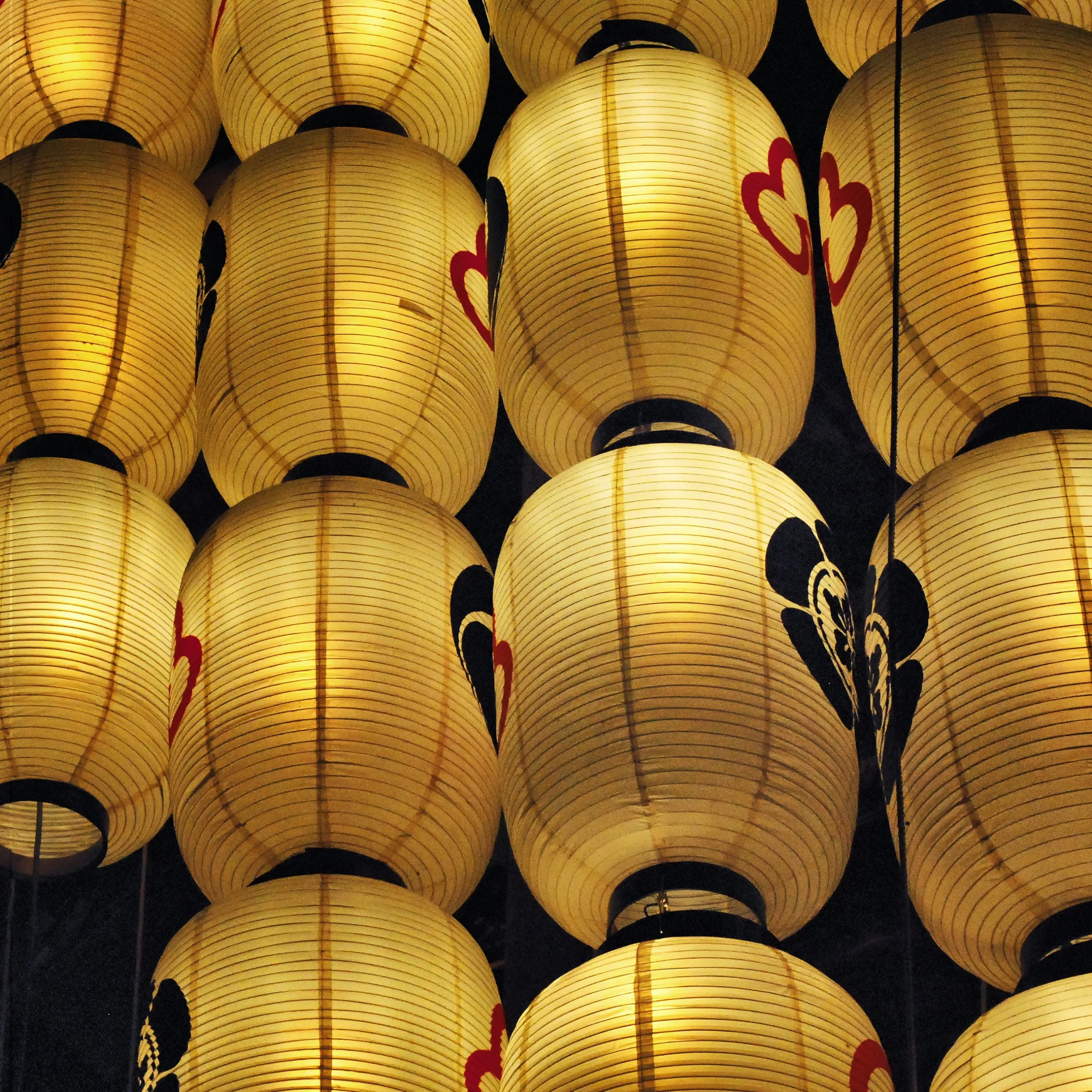 20190715 - 92_Nik-CEP_DxO.jpg