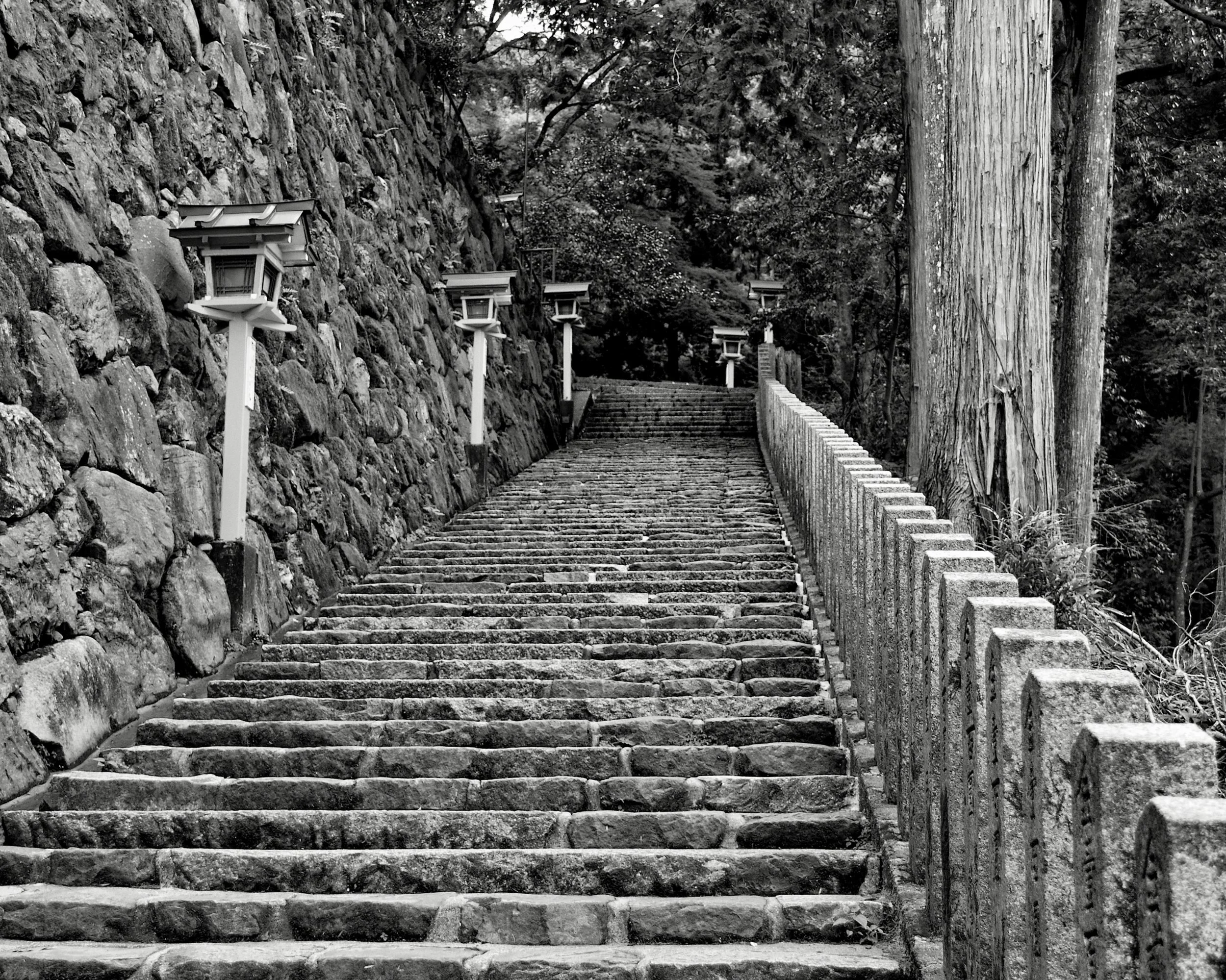 20190715 - 53_Nik_DxO.jpg