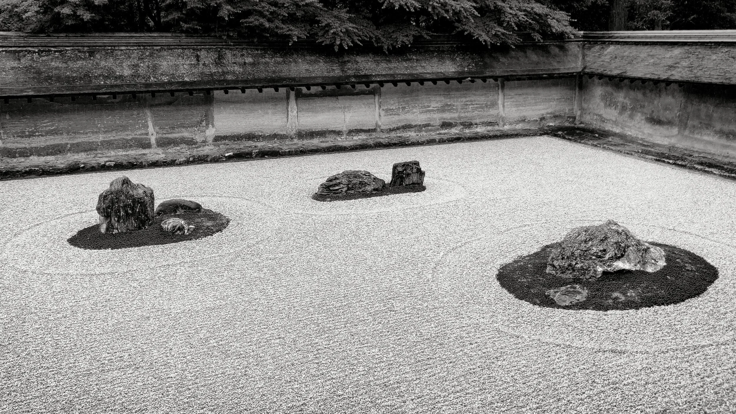 20190718 - 298_Nik_DxO.jpg