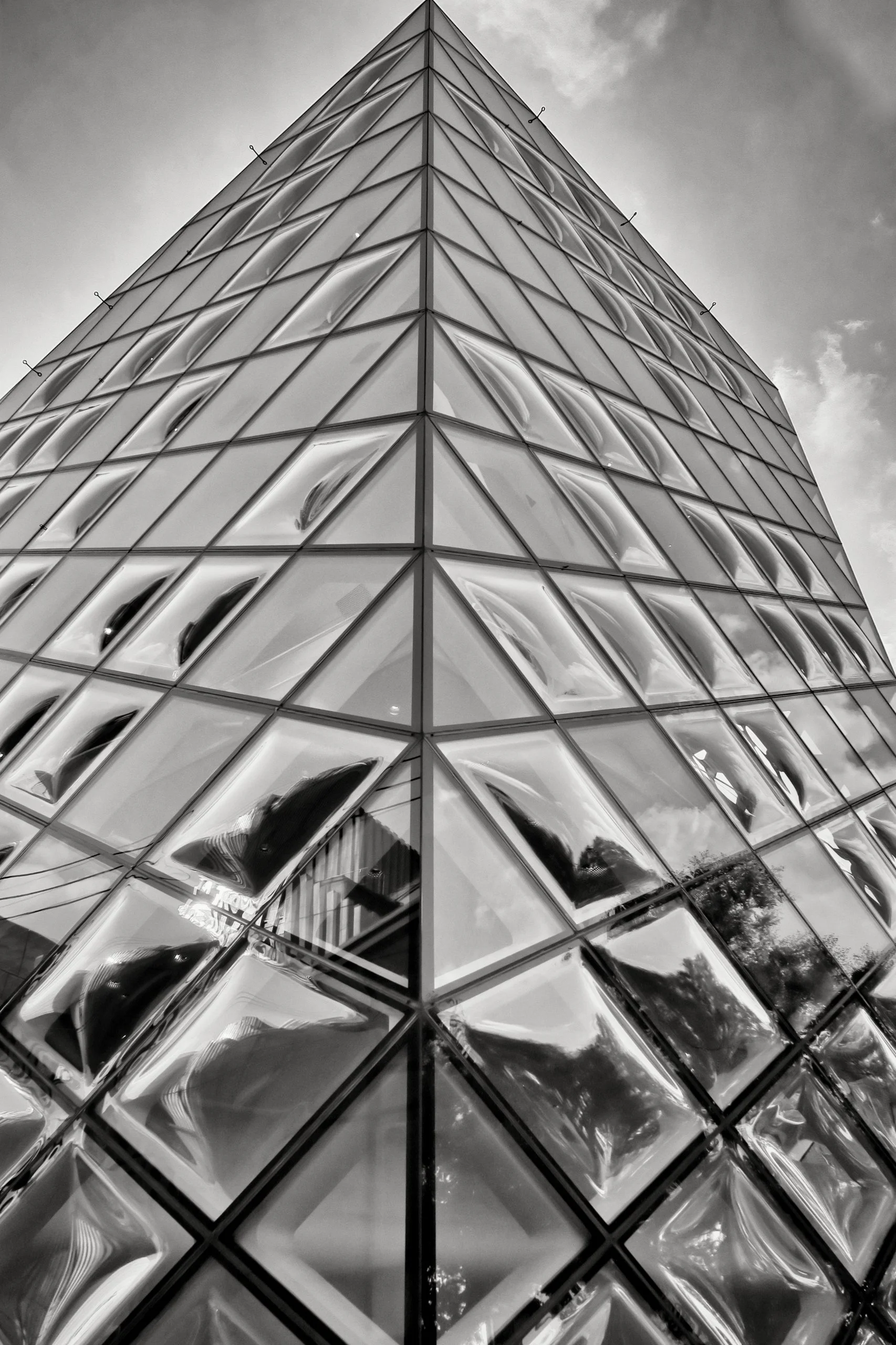 20190811 - 96_Nik_DxO.jpg