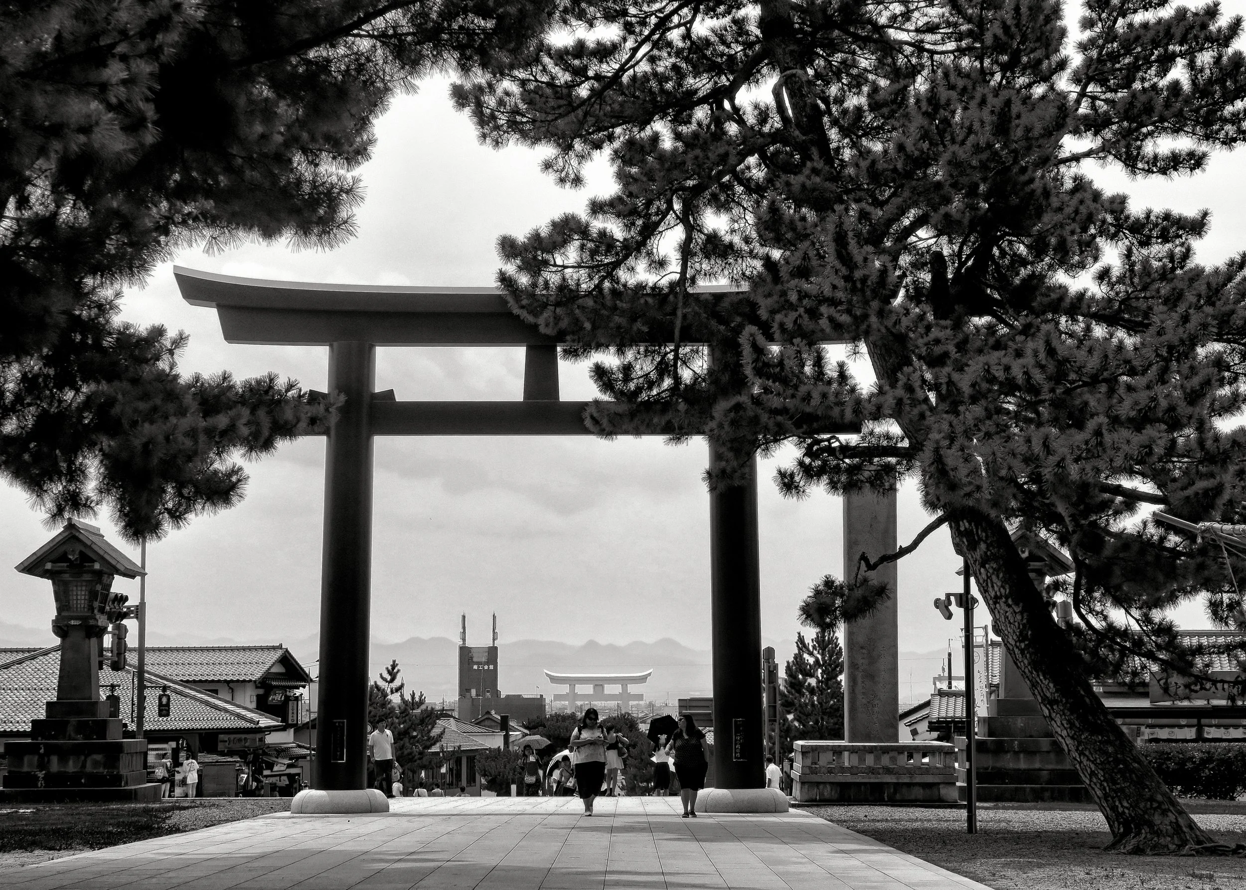 20190729 - 96_Nik_DxO.jpg