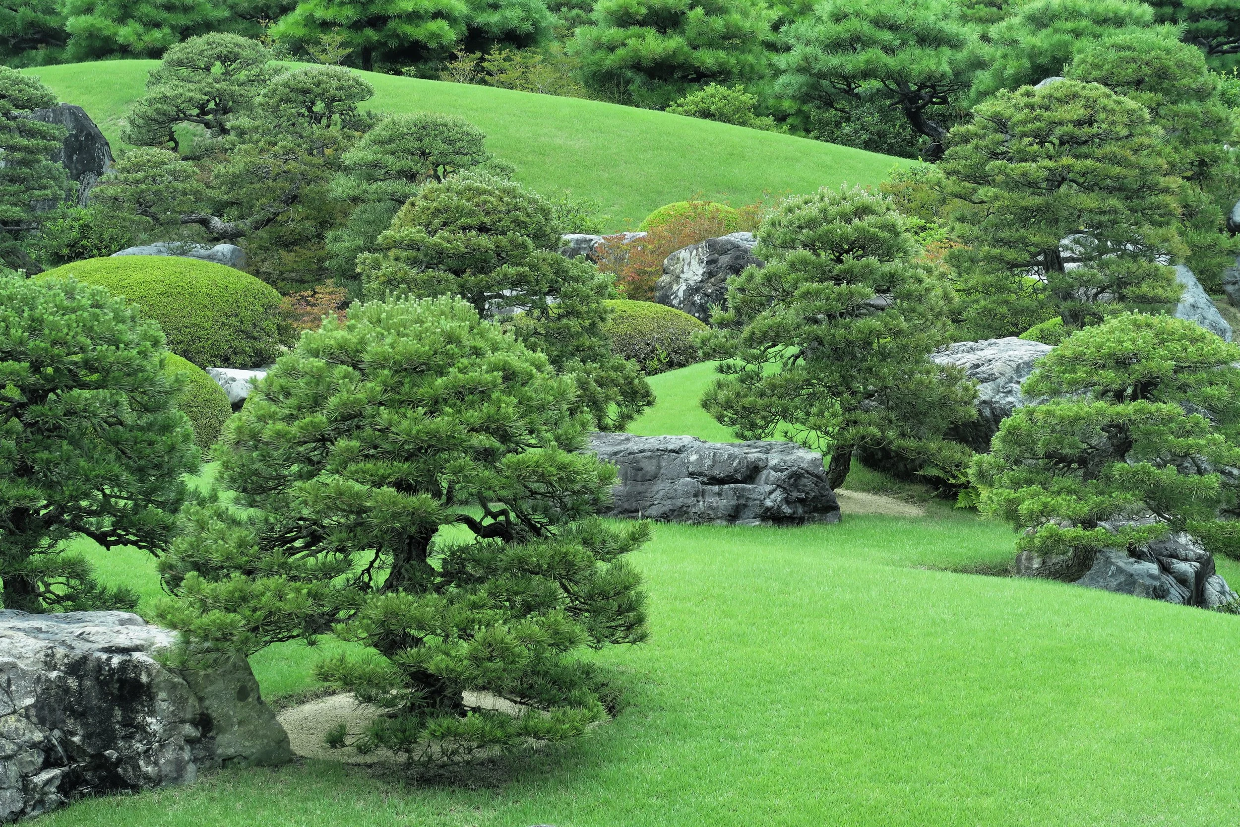 20190728 - 40_DxO.jpg