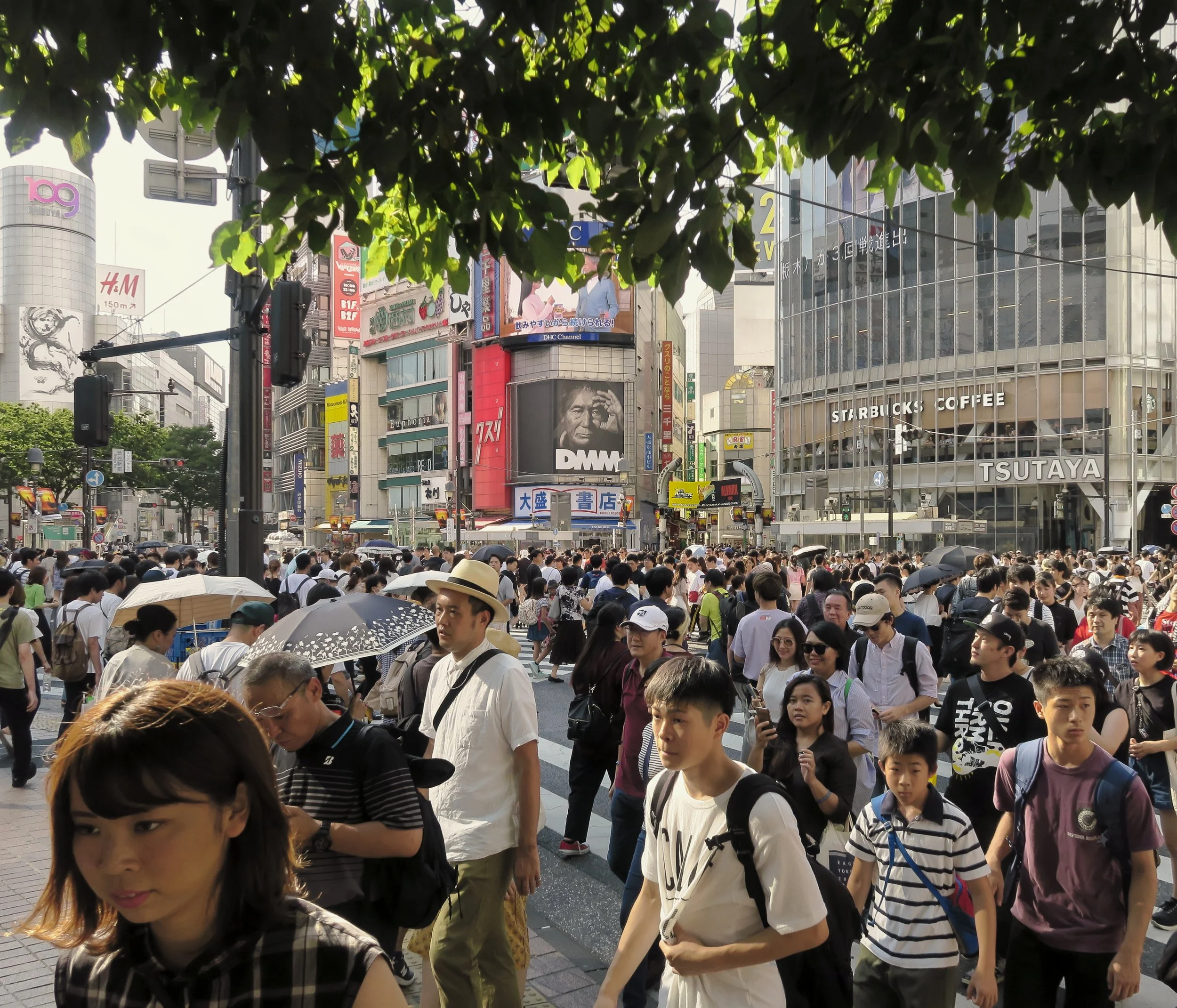 20190811 - 127_Nik-Viveza_DxO.jpg